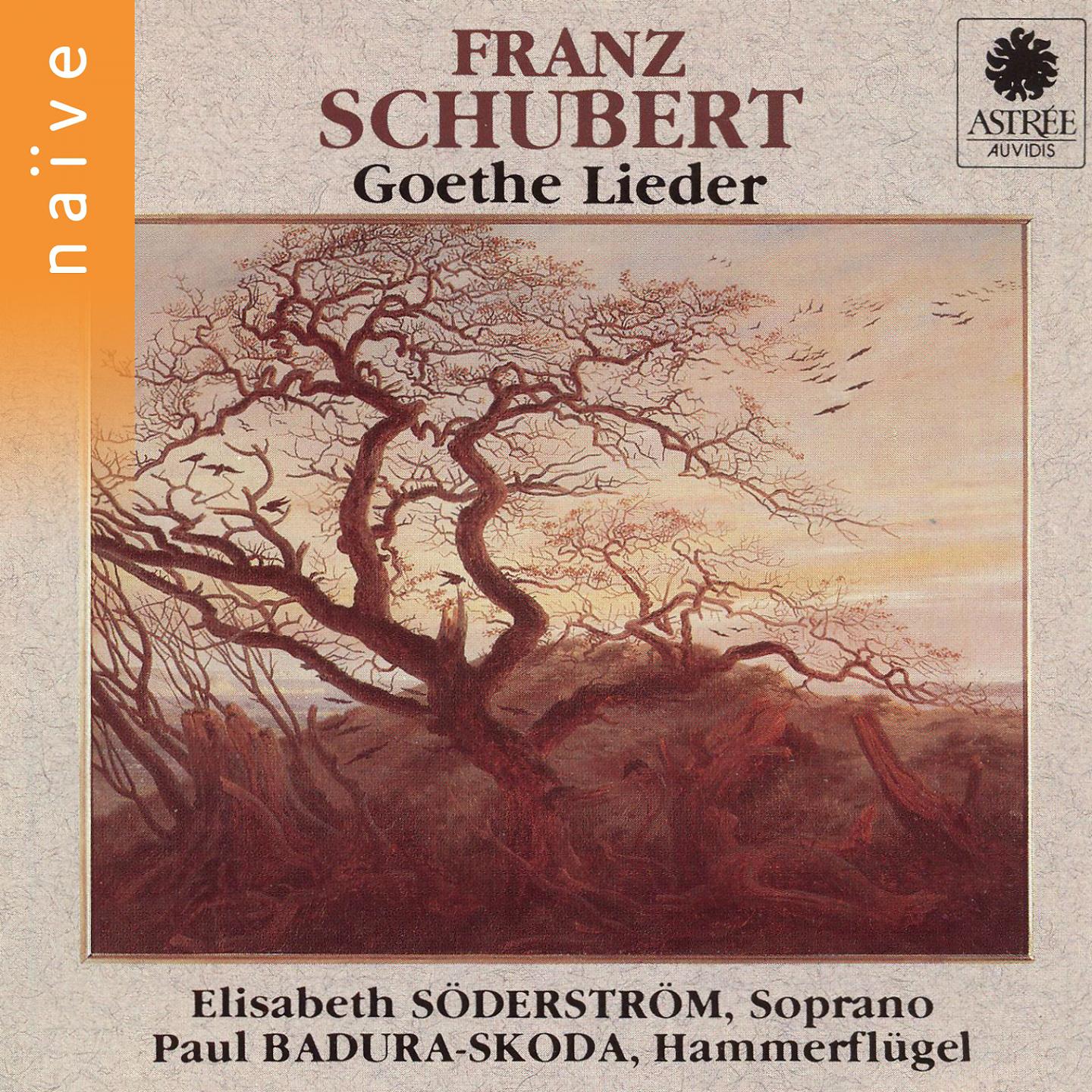 Постер альбома Schubert: Goethe Lieder
