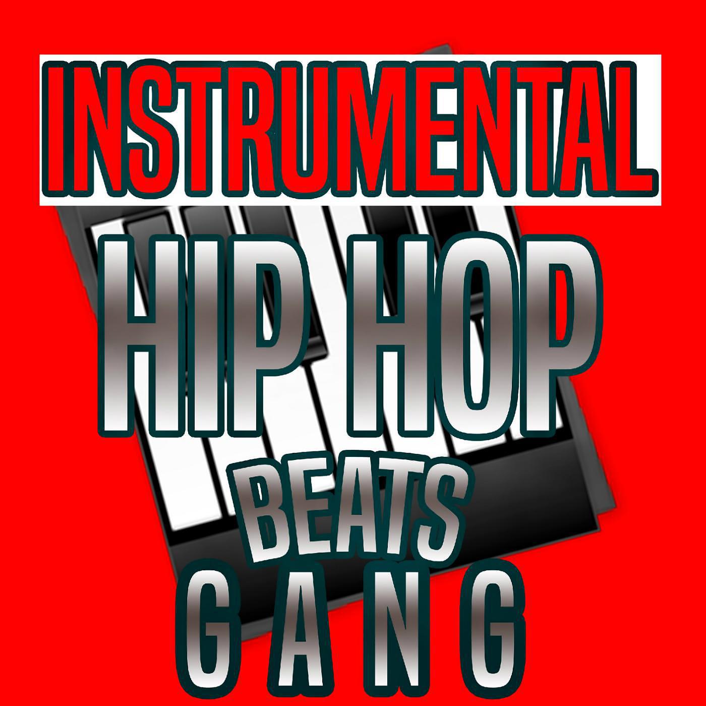 Постер альбома Hip Hop Instrumental Beats
