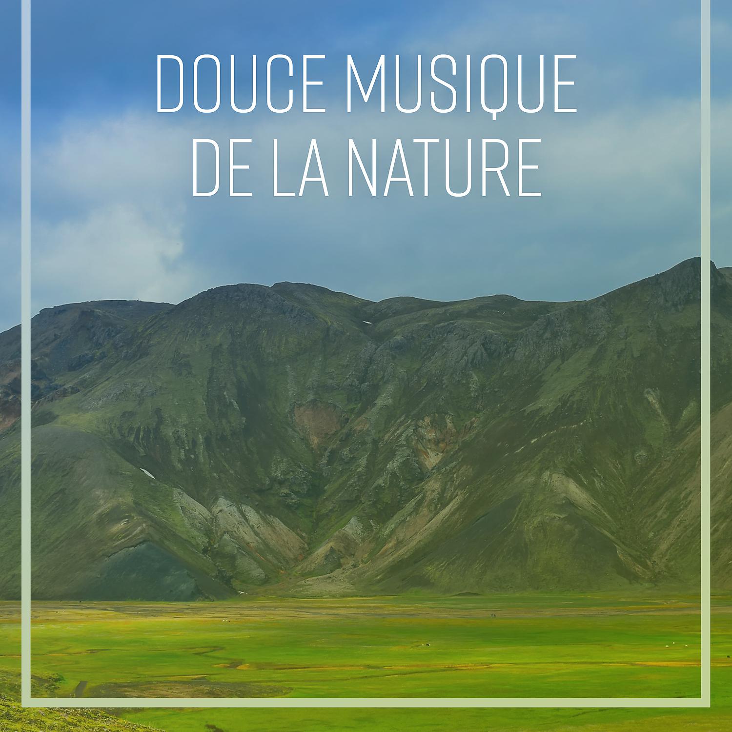Постер альбома Douce musique de la nature – Réduire le stress, Sons de la nature, Une journée calme, Musique d’ambiance