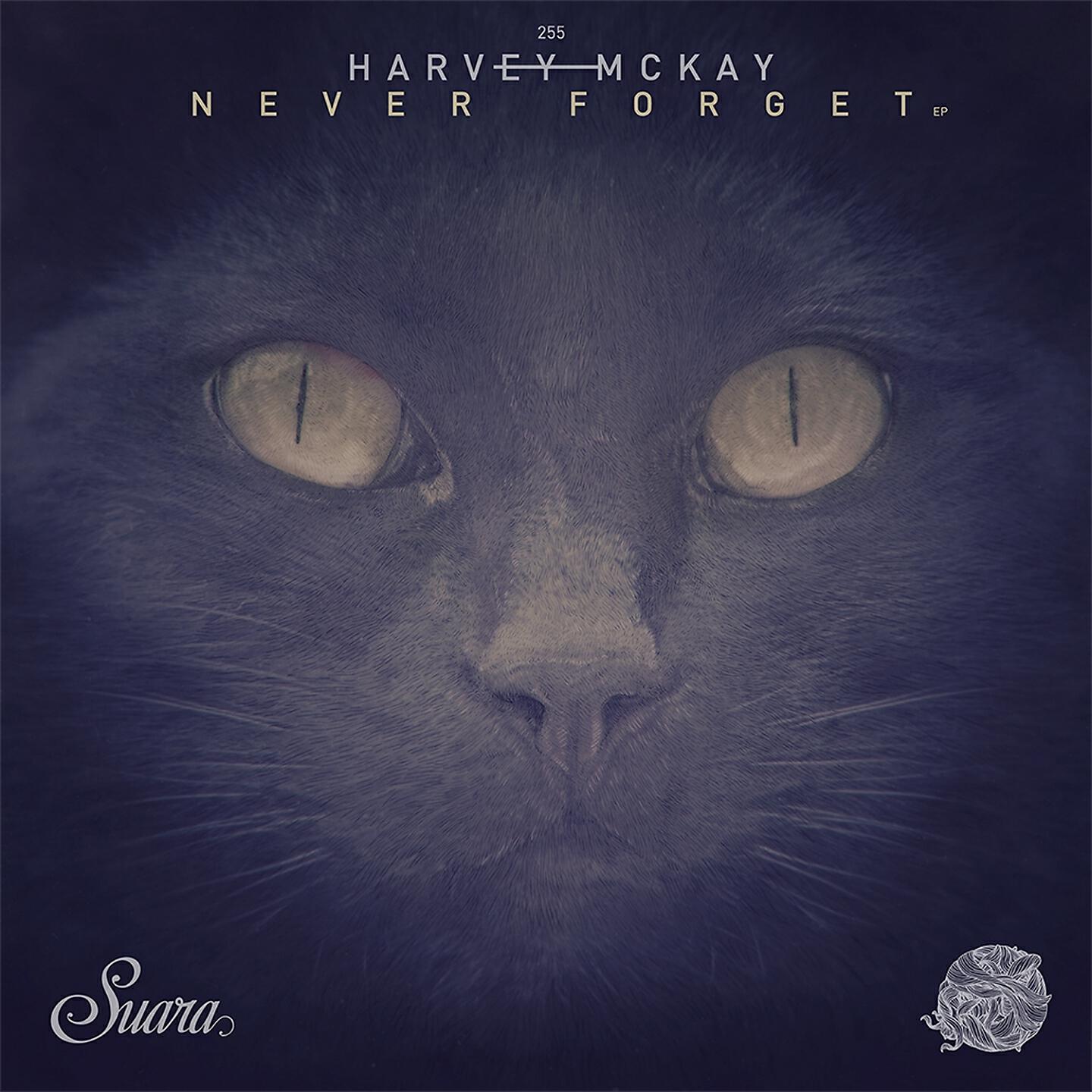 Harvey McKay - Stolen Forest (Original Mix)