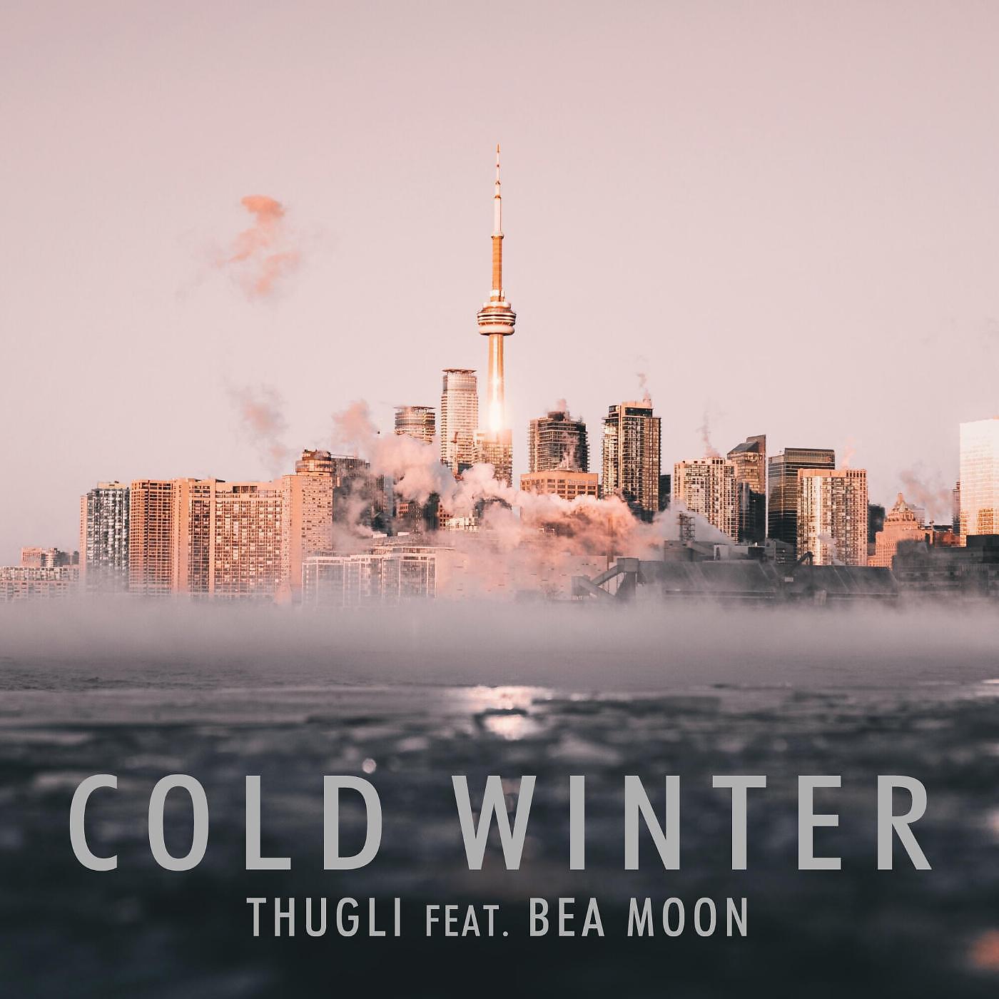 Постер альбома Cold Winter (feat. Bea Moon)