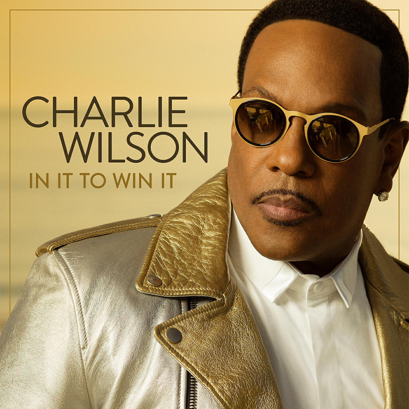 Charlie Wilson - Chills
