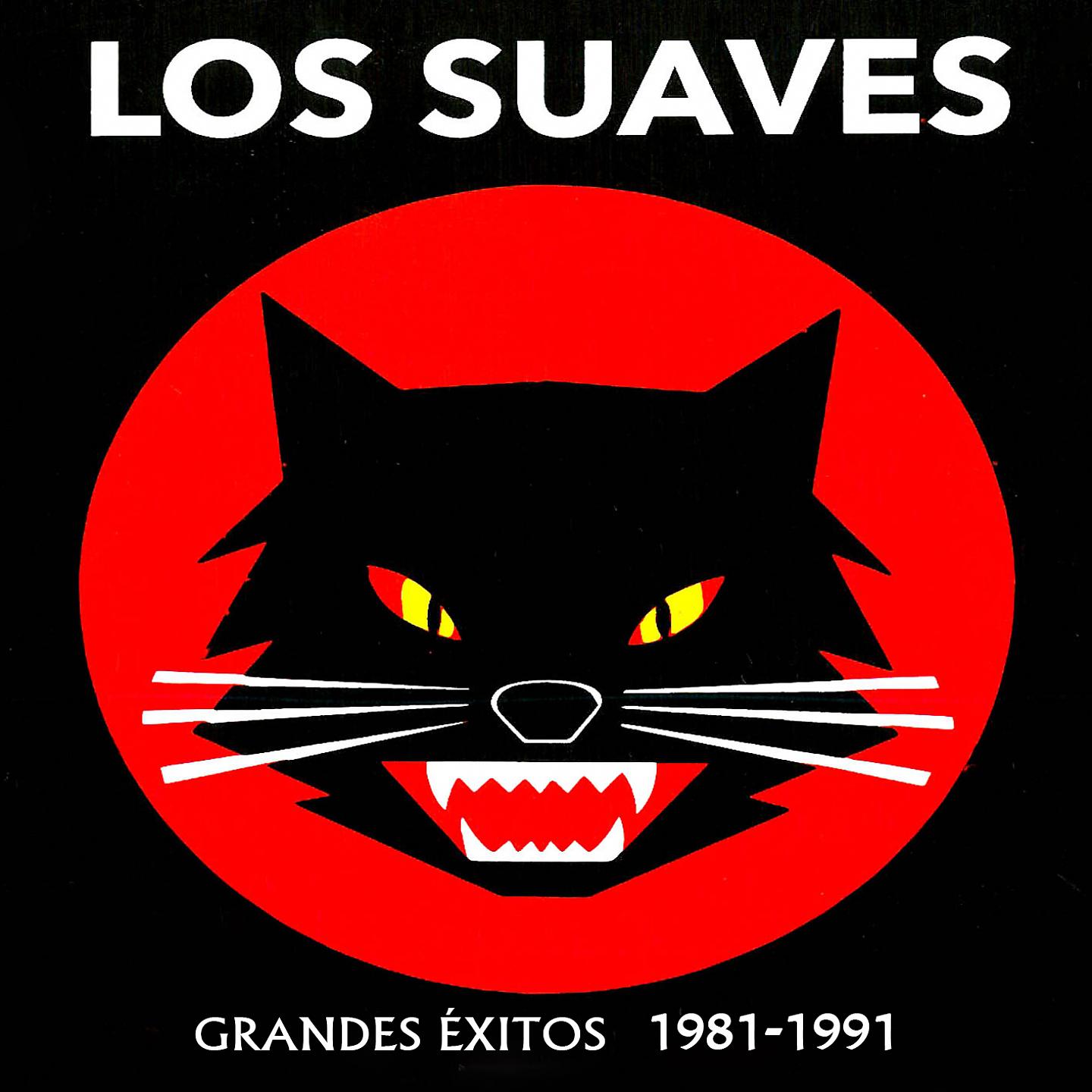 Постер альбома Grandes Éxitos 1981-1991