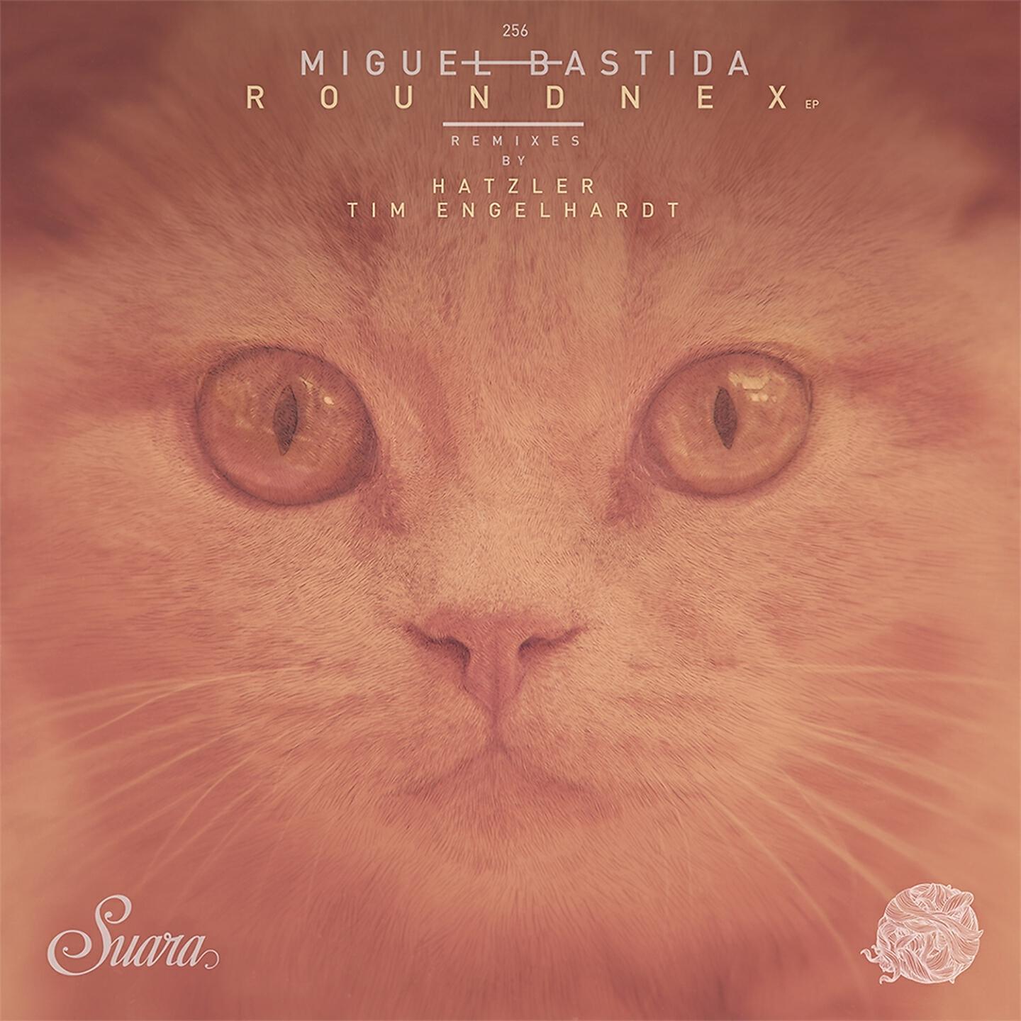 Miguel Bastida - Roundnex