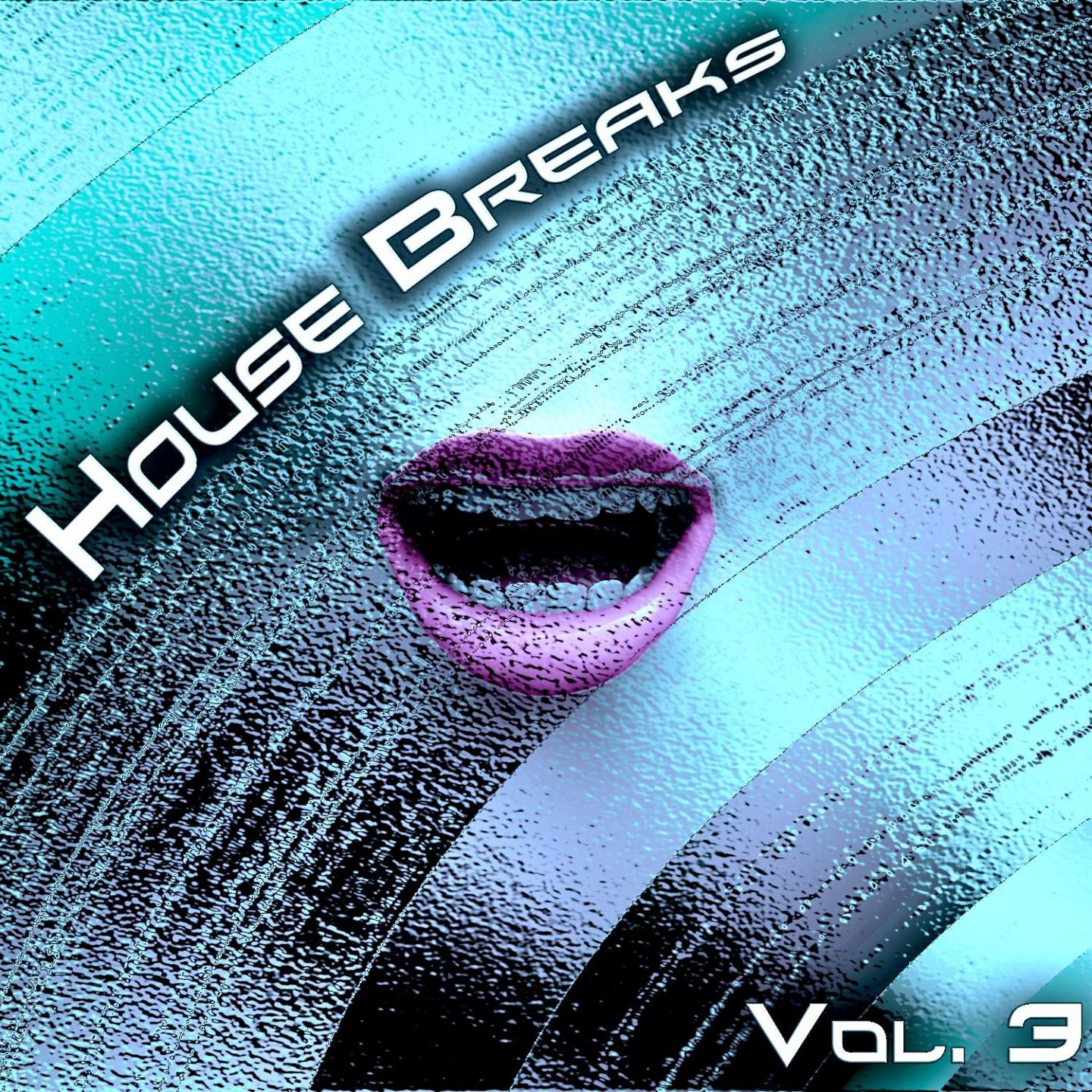Постер альбома House Breaks, Vol. 3
