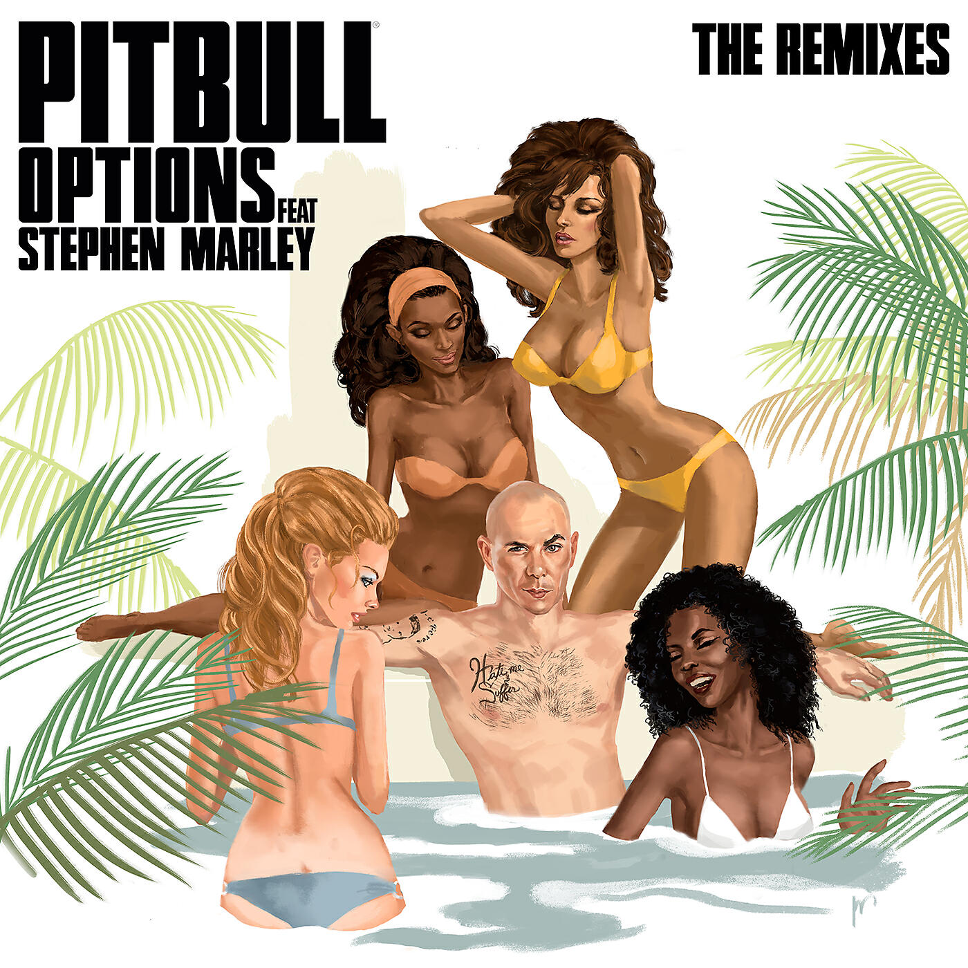 Pitbull - Options (DJ Noodles Remix)