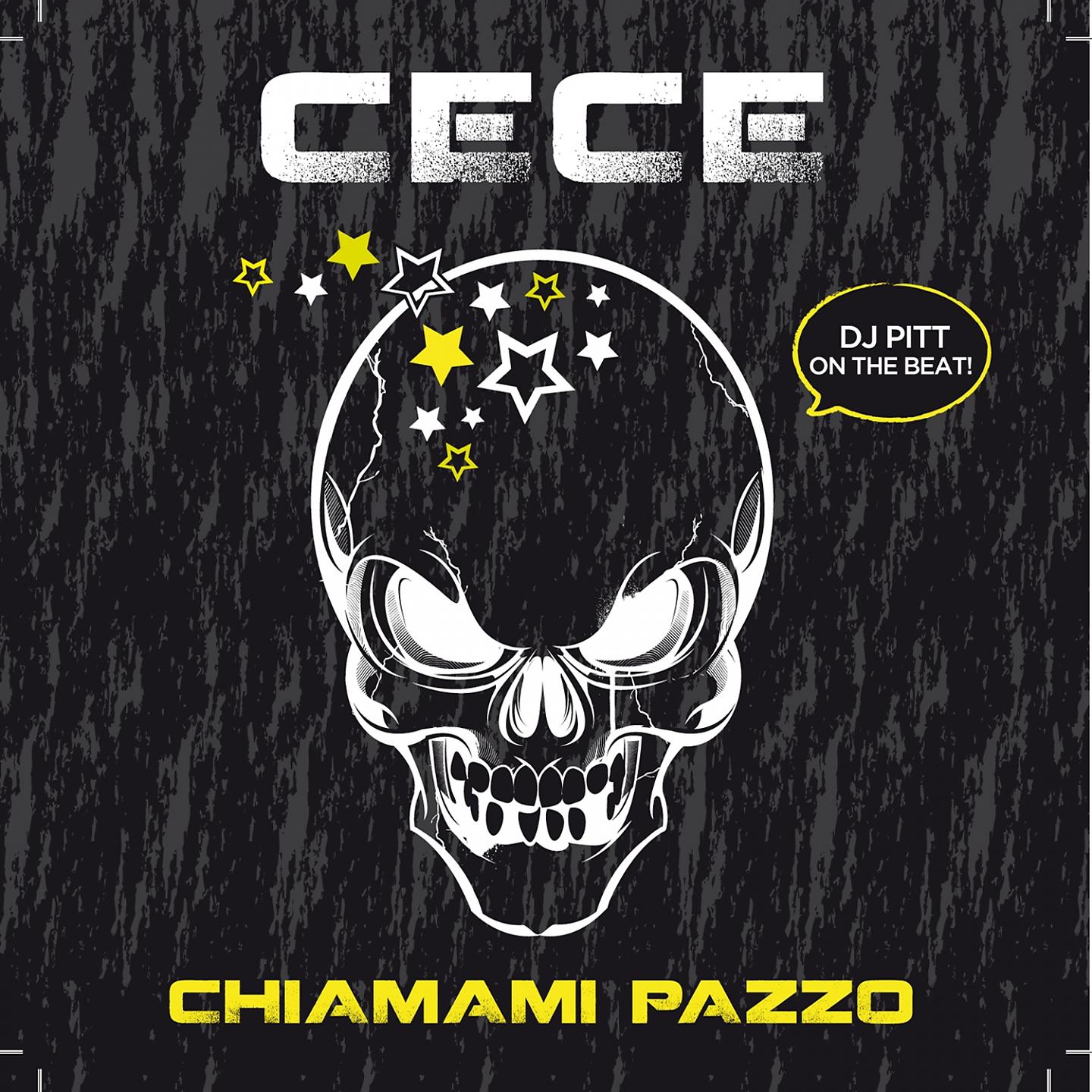 Постер альбома Chiamami pazzo