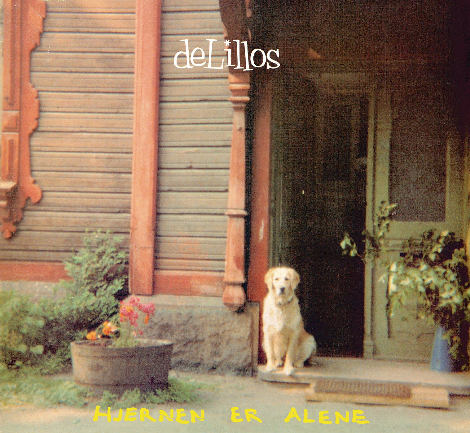 deLillos - Rendez-vous