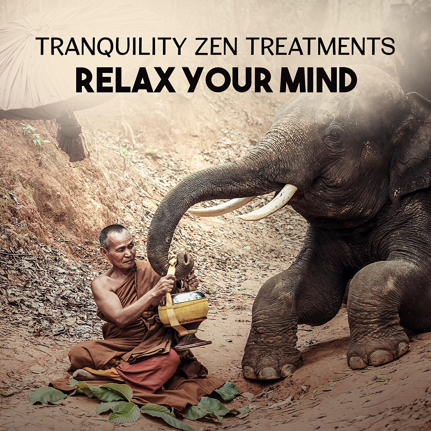 Liquid Relaxation Oasis - Spiritual Health