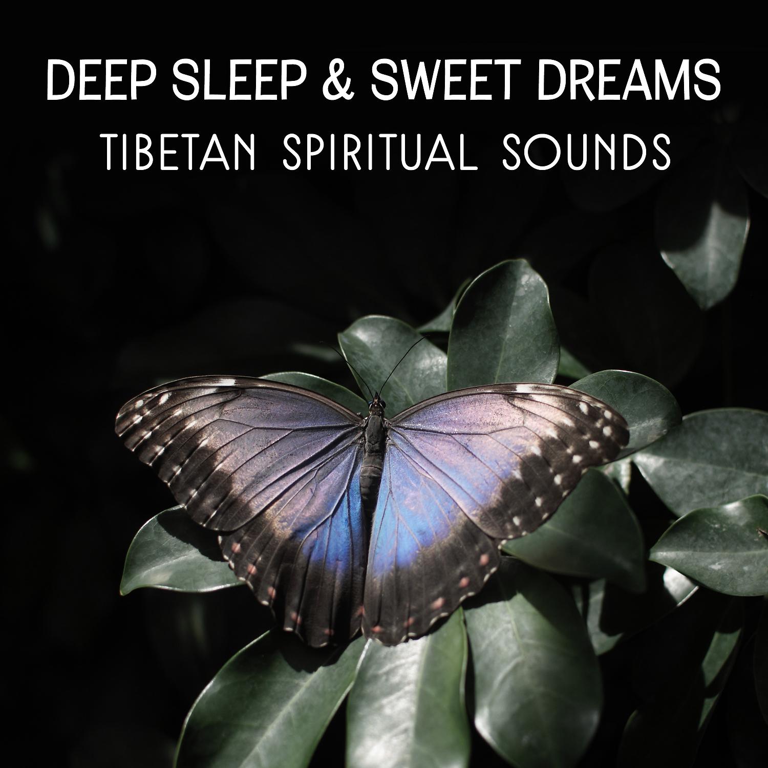 Постер альбома Deep Sleep & Sweet Dreams: Tibetan Spiritual Sounds - Oriental Music for Natural Hypnosis, Asian Tibetan Meditation & Yoga Nidra, Deeper Rest & Regeneration