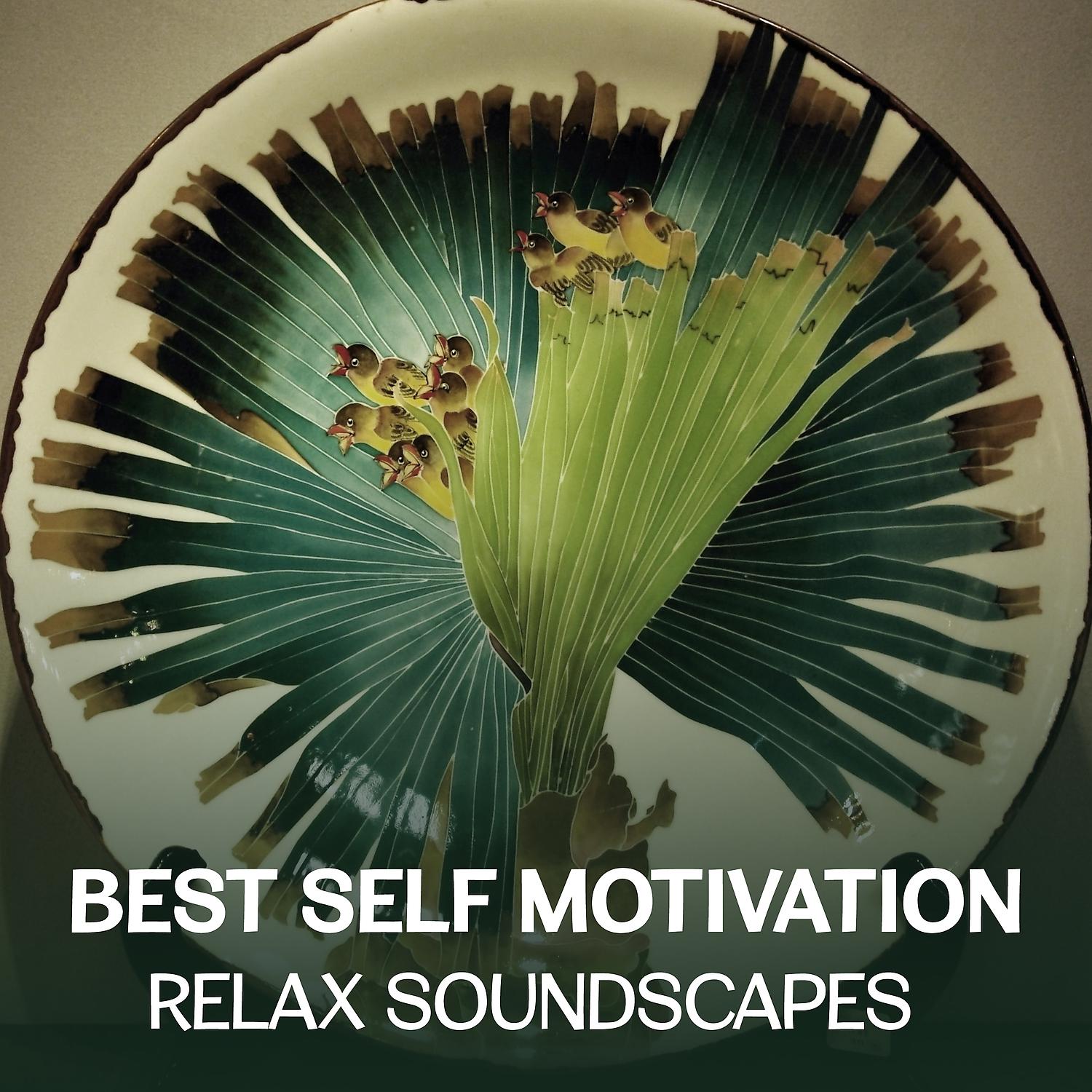 Постер альбома Best Self Motivation: Relax Soundscapes - Mindfulness Meditation Session for Yoga, Sound Therapy & Healing Music, Deep Breath Training, Better Sleep