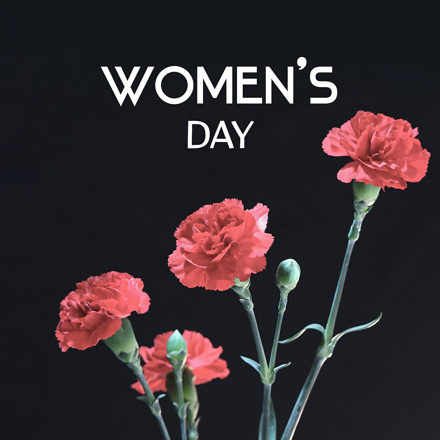 Special Jazz Collection - International Women's Day