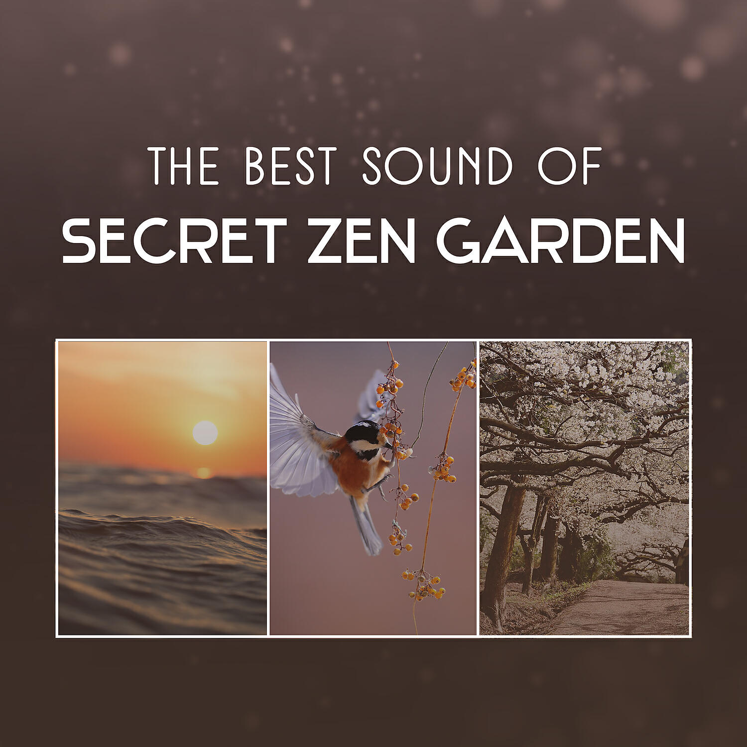 Harmony Nature Sounds Academy - Progressive Relaxation (Positive Energy)