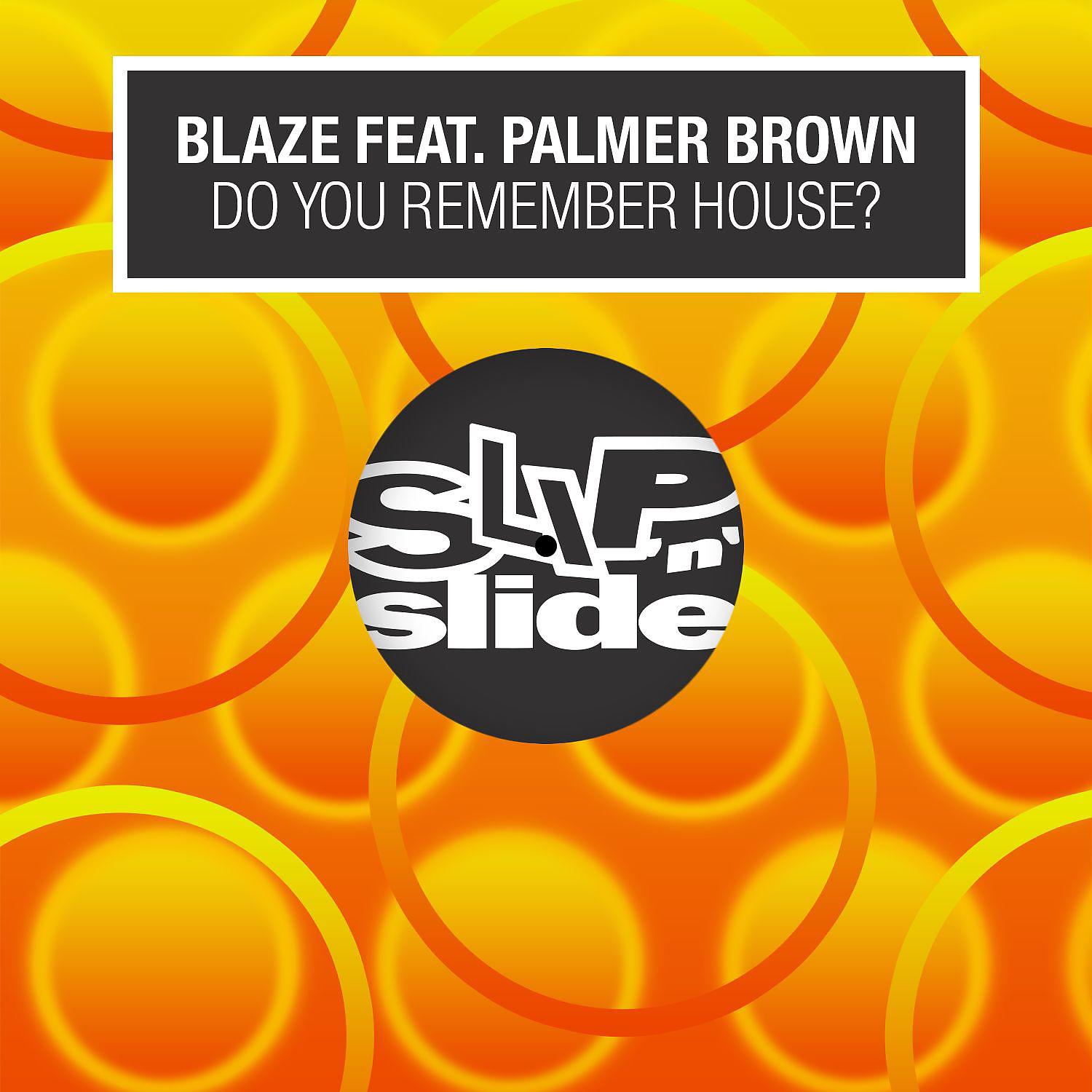 Постер альбома Do You Remember House? (feat. Palmer Brown)