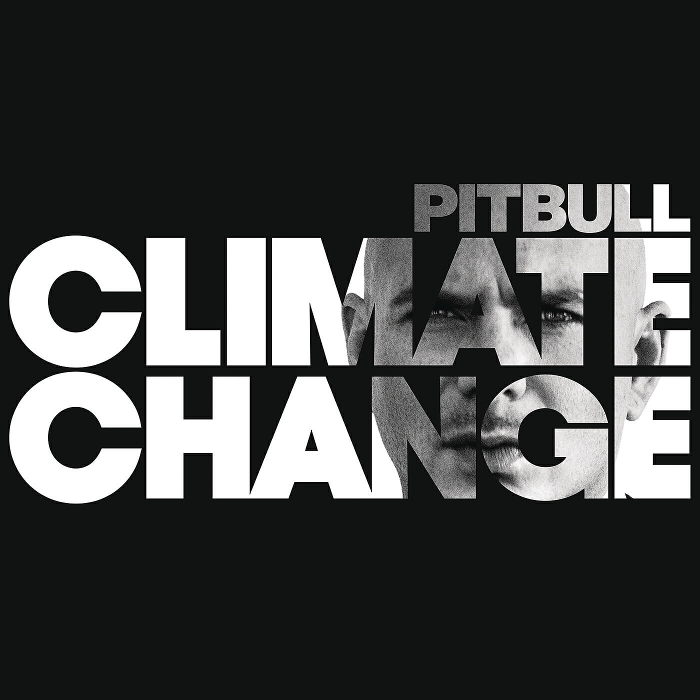 Pitbull - Educate Ya