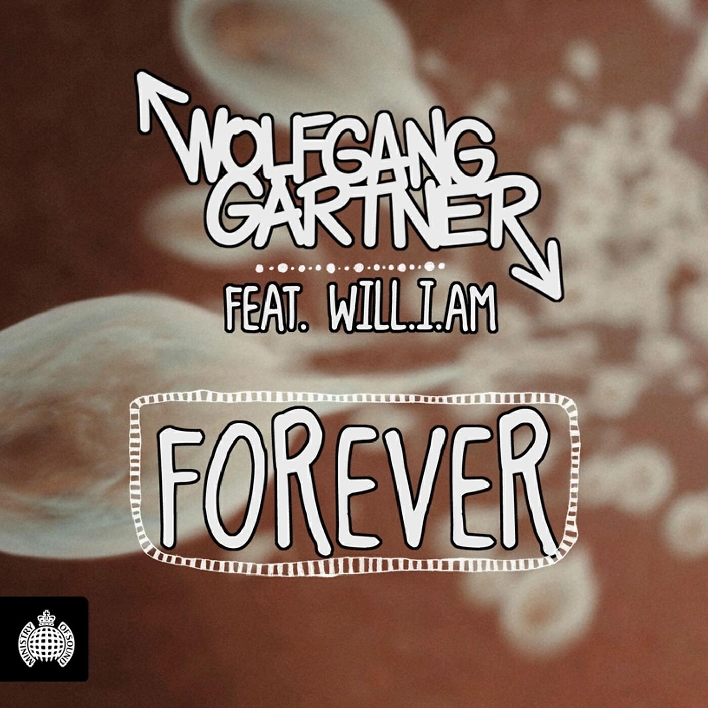 Wolfgang Gartner - Forever (Hook 'N' Sling Remix)