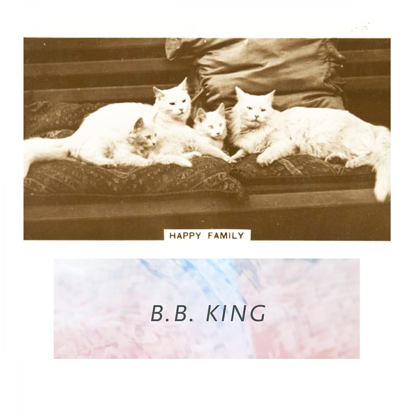 B.B. King - Woke Up This Morning (My Baby's Gone)