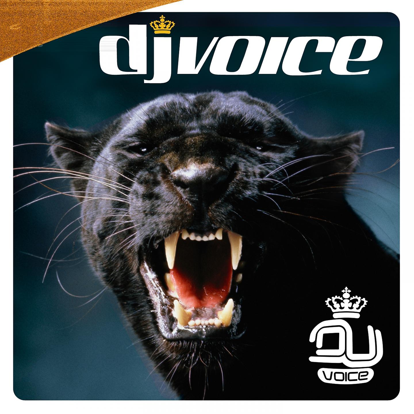 Постер альбома DJ Voice Vol 2 2006