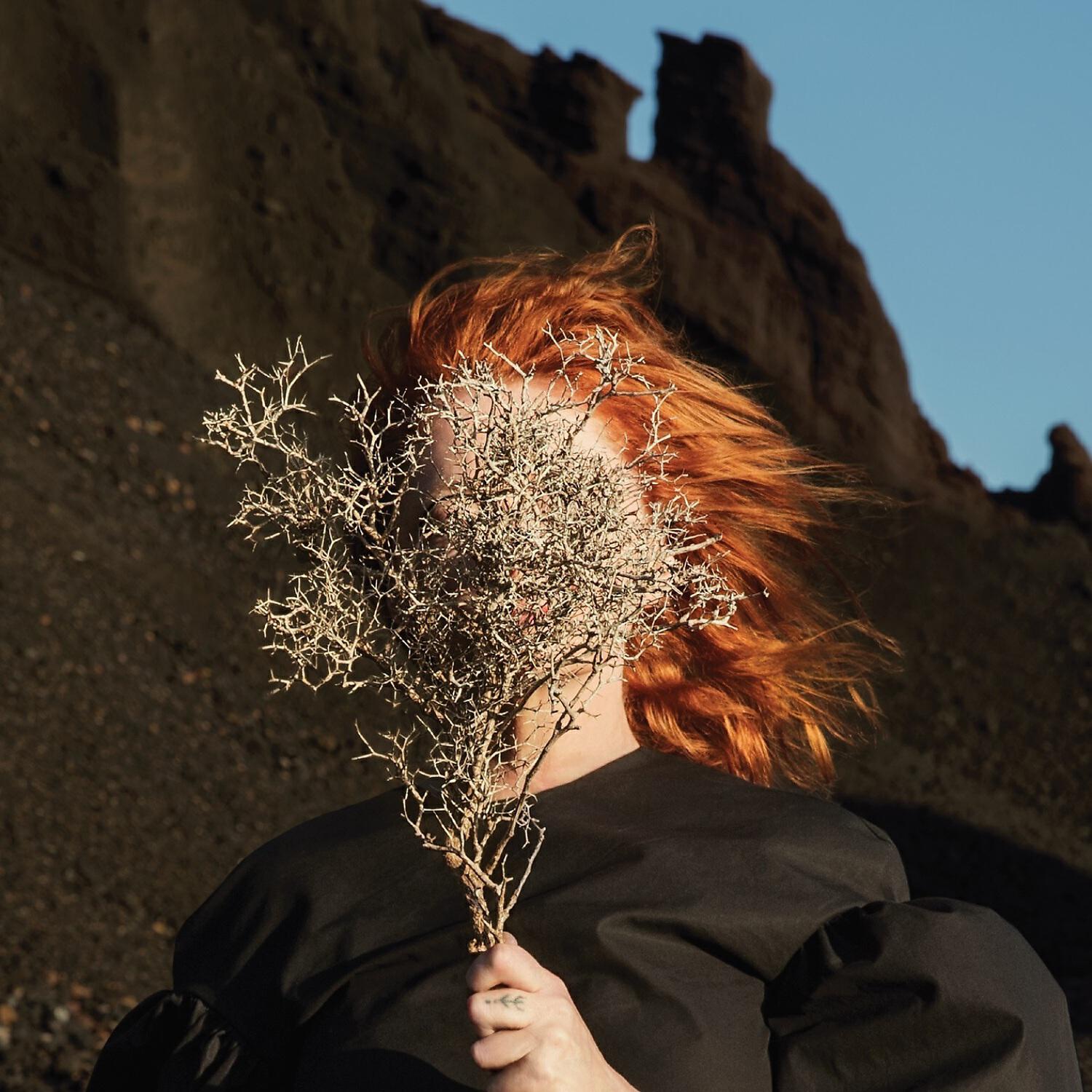 Goldfrapp - Ocean