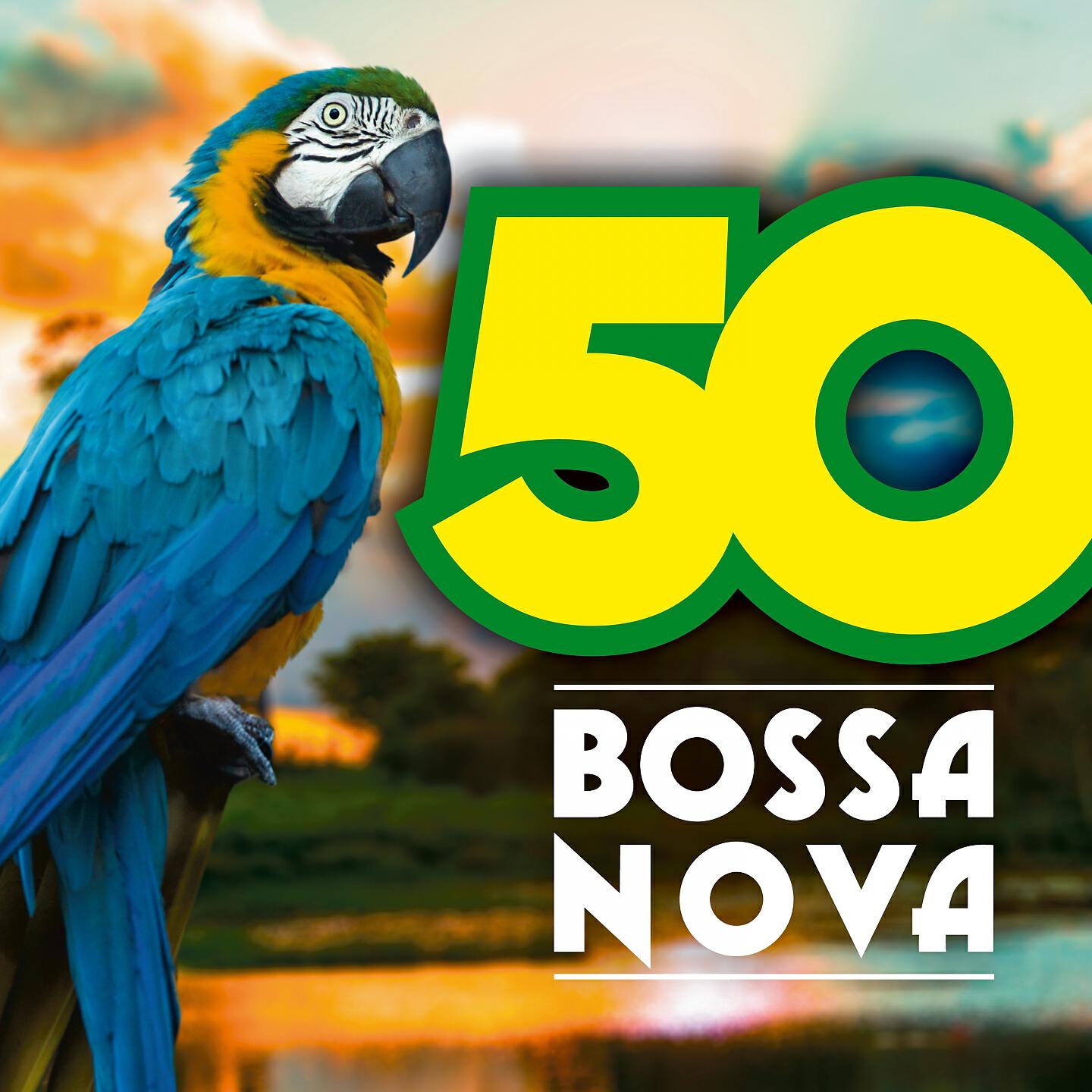 Daria Toffali - Favela