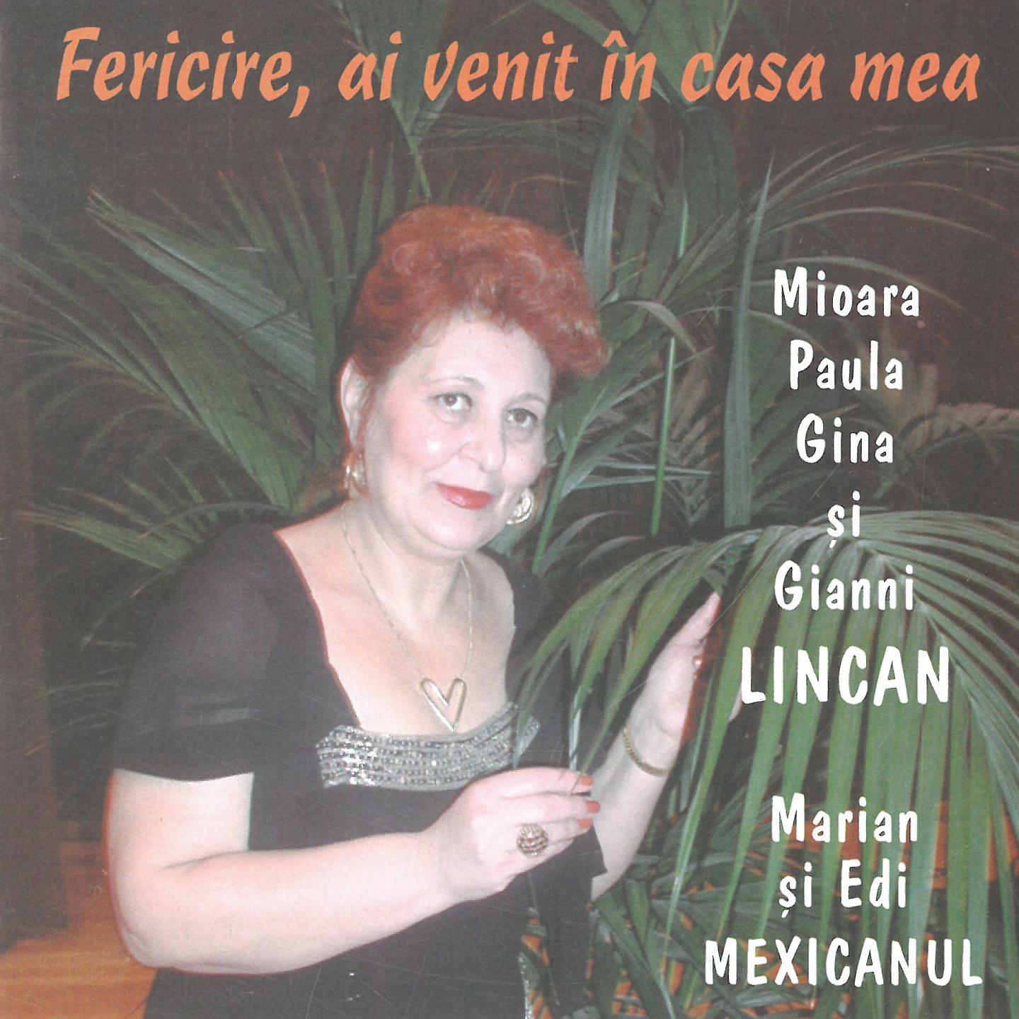 Постер альбома Fericire, Ai Venit În Casa Mea