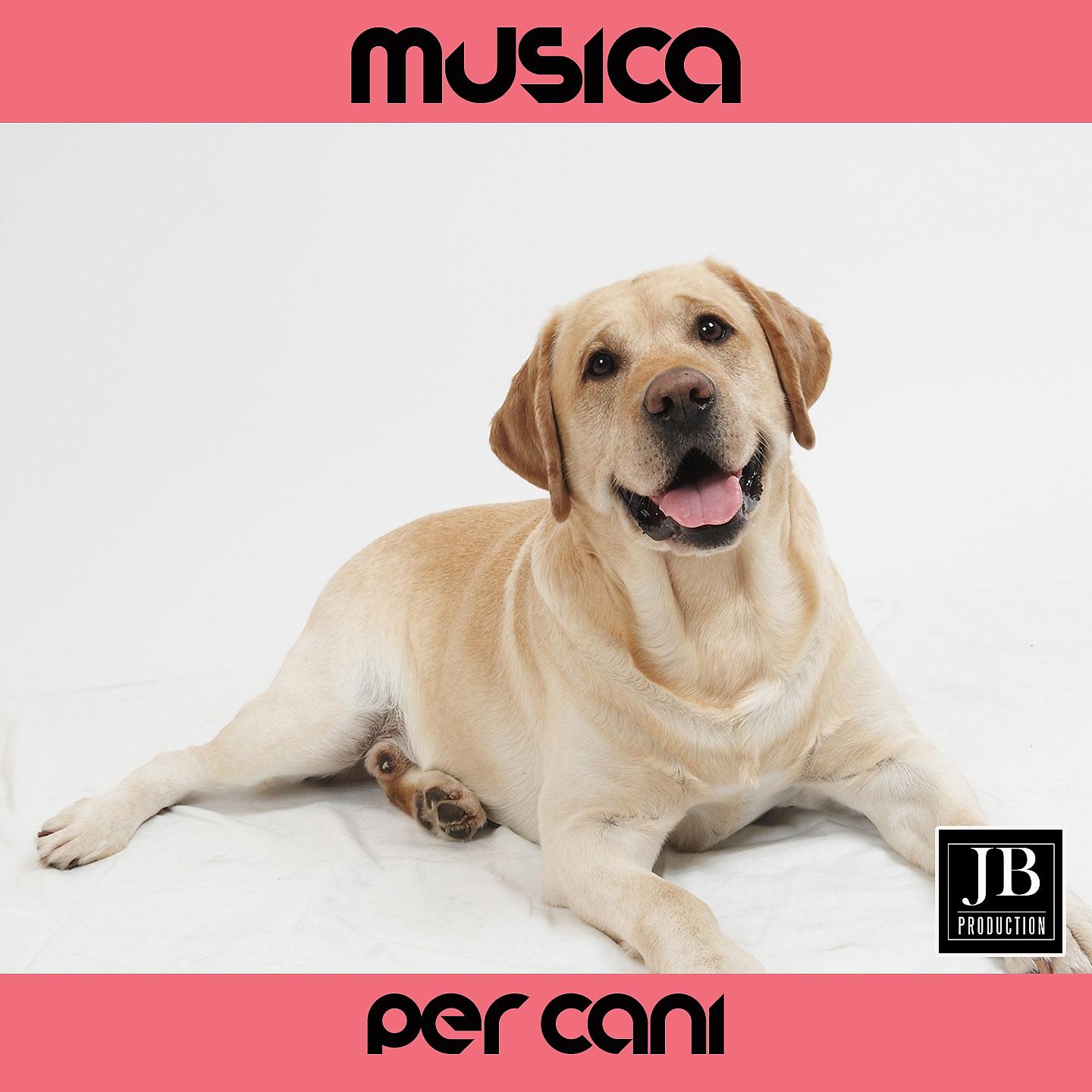 Постер альбома Musica Per Cani