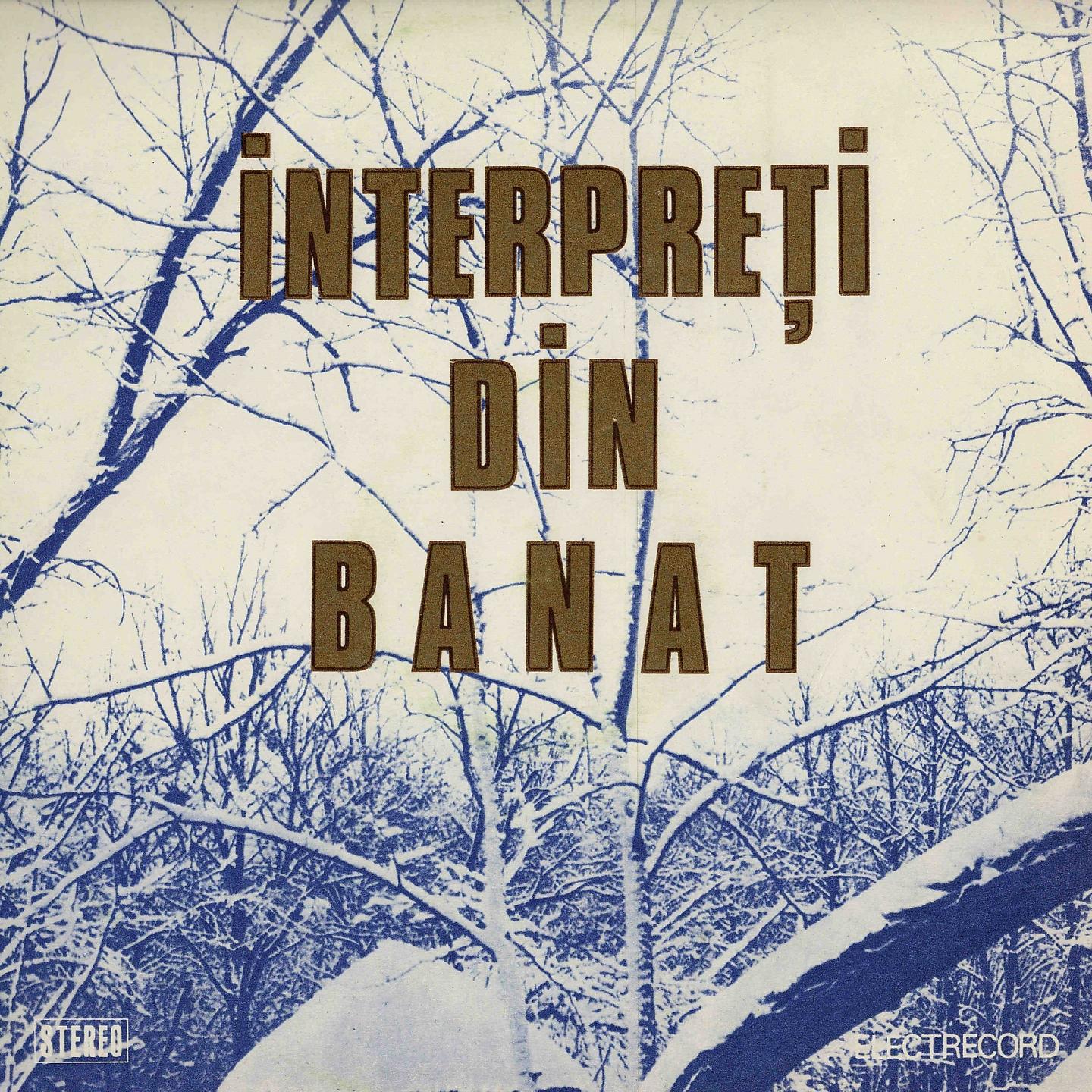 Постер альбома Interpreți Din Banat