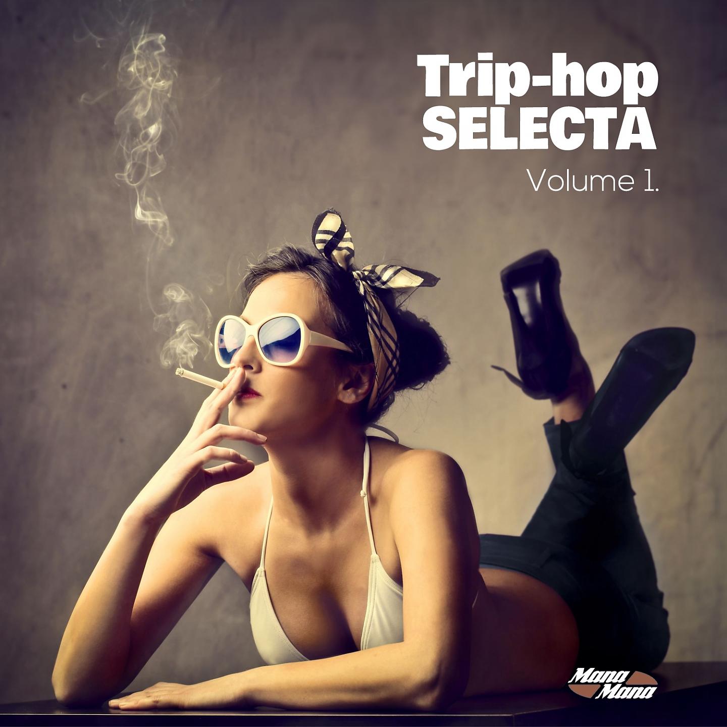 Постер альбома Trip-hop Selecta, Vol. 1