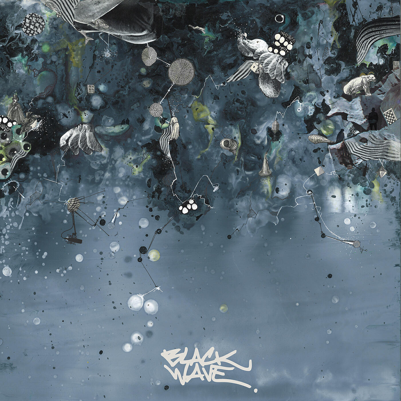 blackwave. - Caleb's Skit
