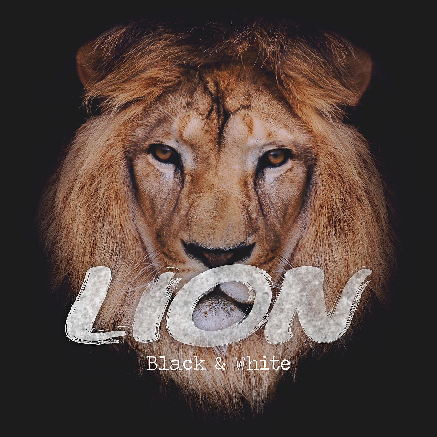 LION - King & Queen
