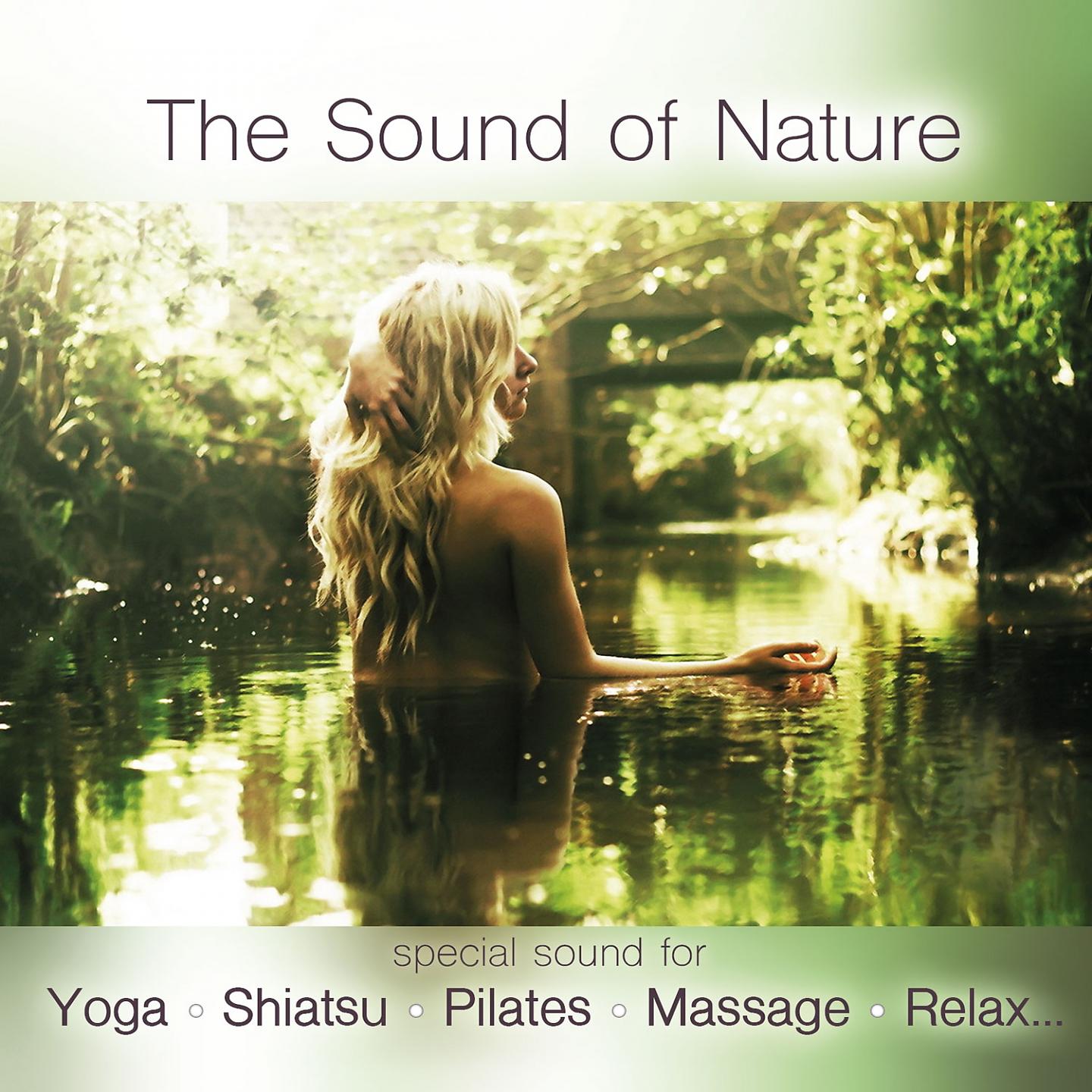 Постер альбома The Sound of Nature (Special Sound for Yoga.Shiatsu,Pilates,Massage,Relax)