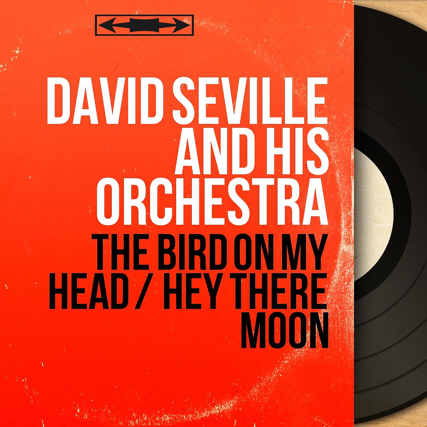 Постер альбома The Bird on My Head / Hey There Moon