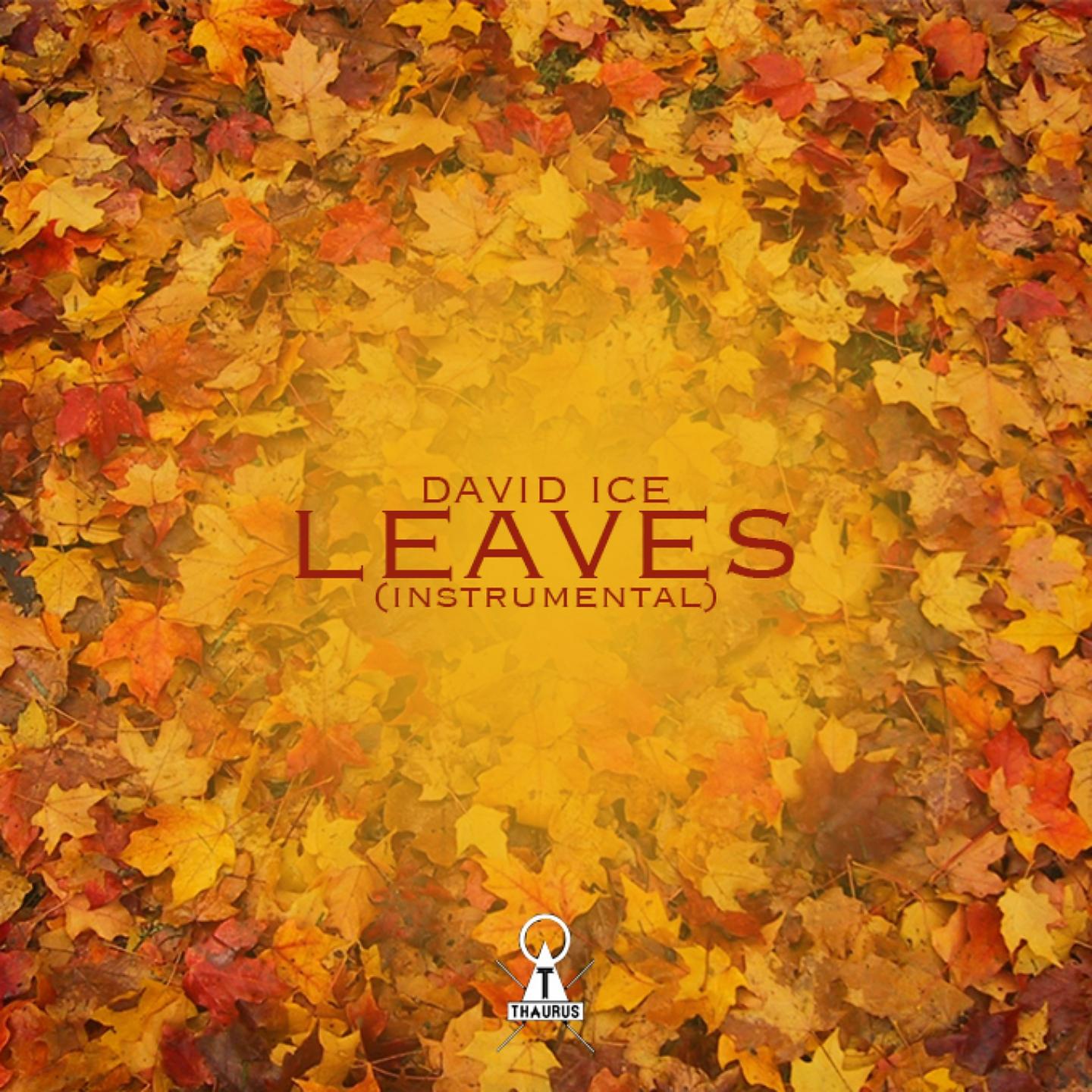Постер альбома Leaves