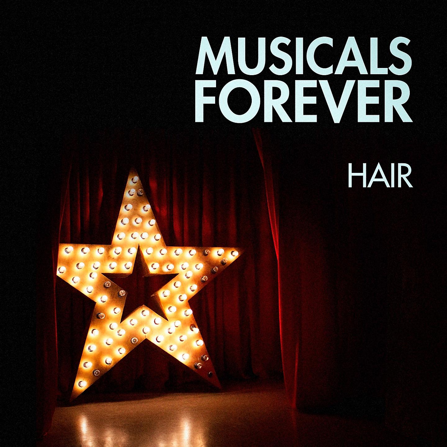 Постер альбома Musicals Forever: Hair