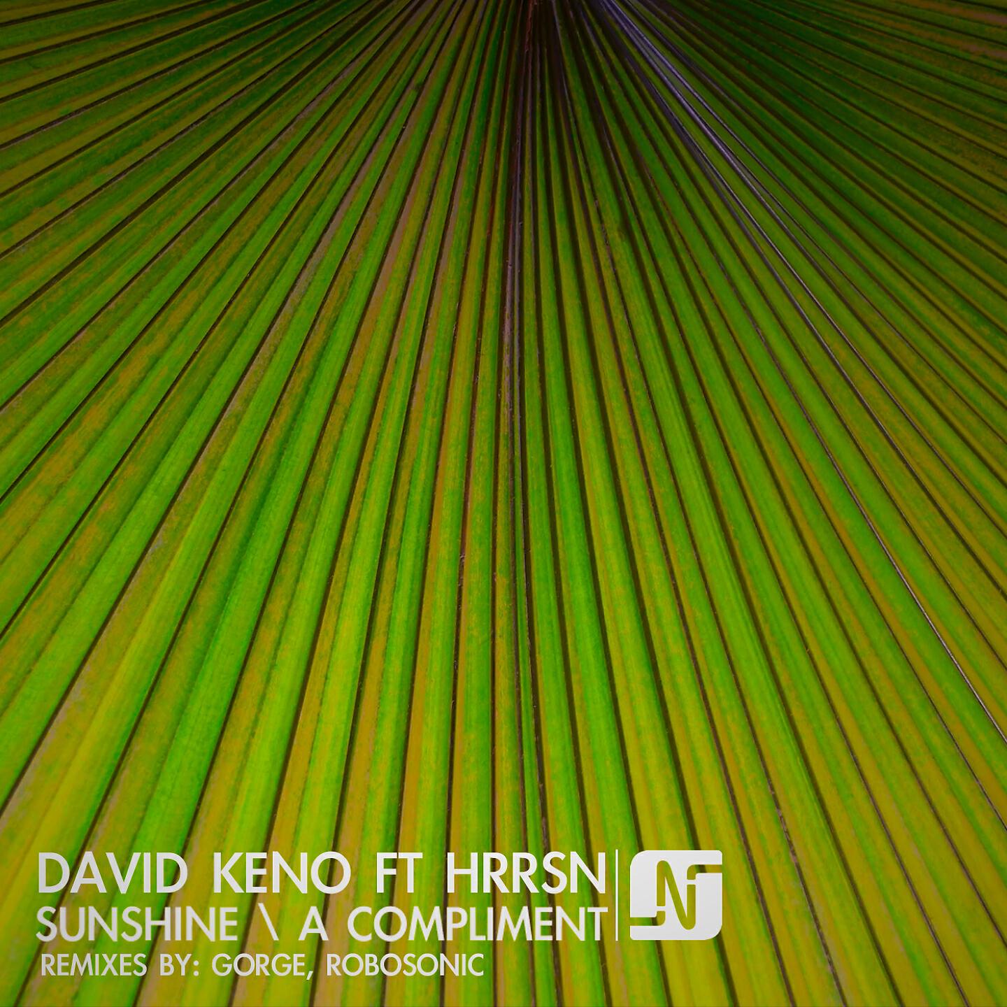 David Keno - Sunshine (Robosonic Club Dub)