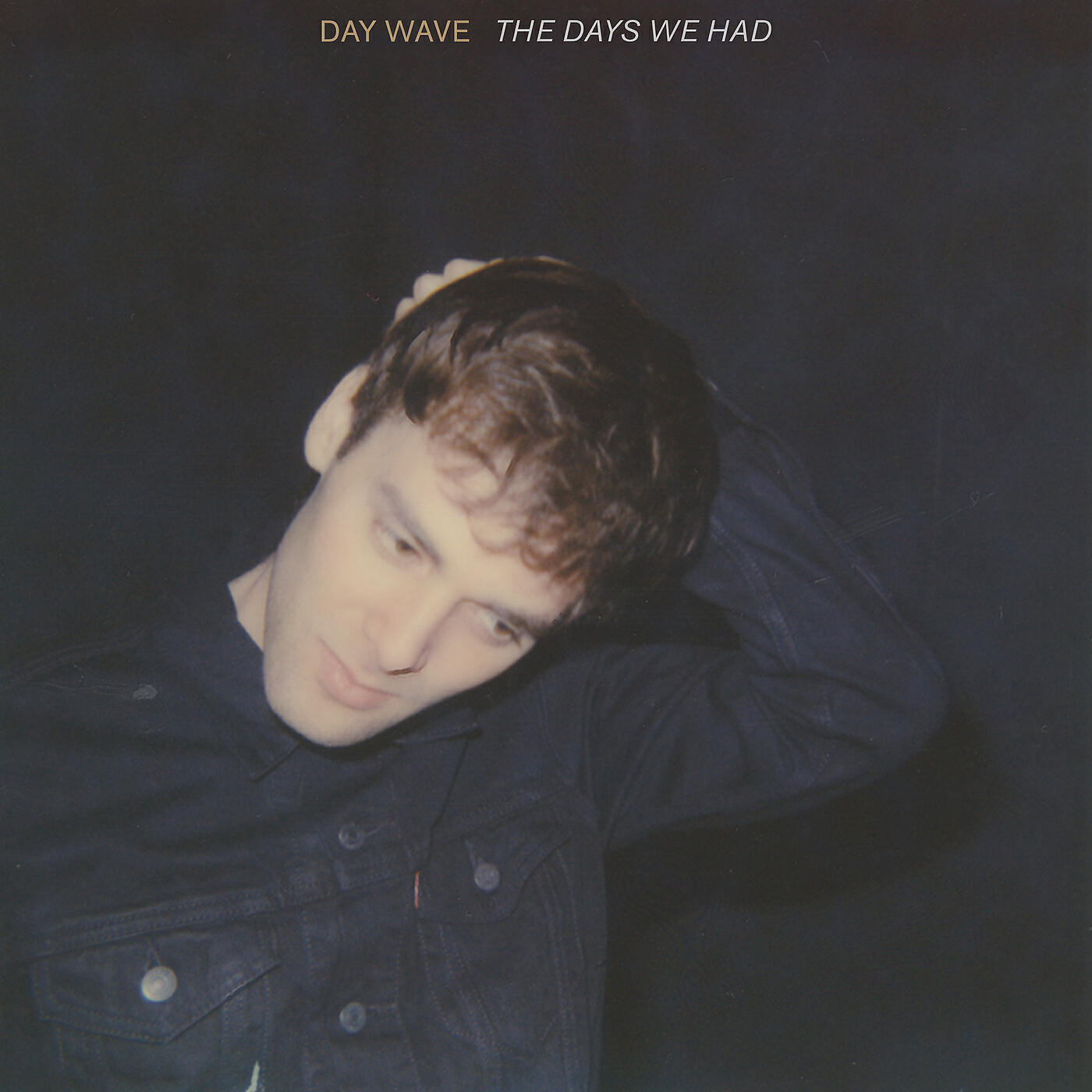 Day Wave - Disguise