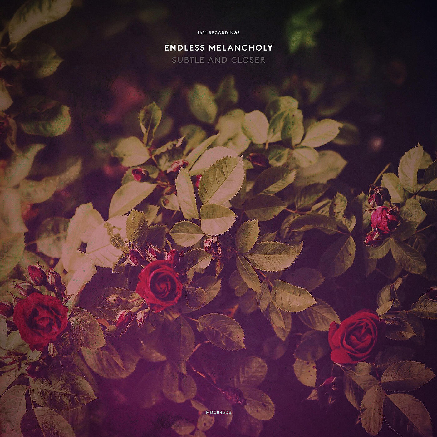 Endless Melancholy - Sakevych: Subtle