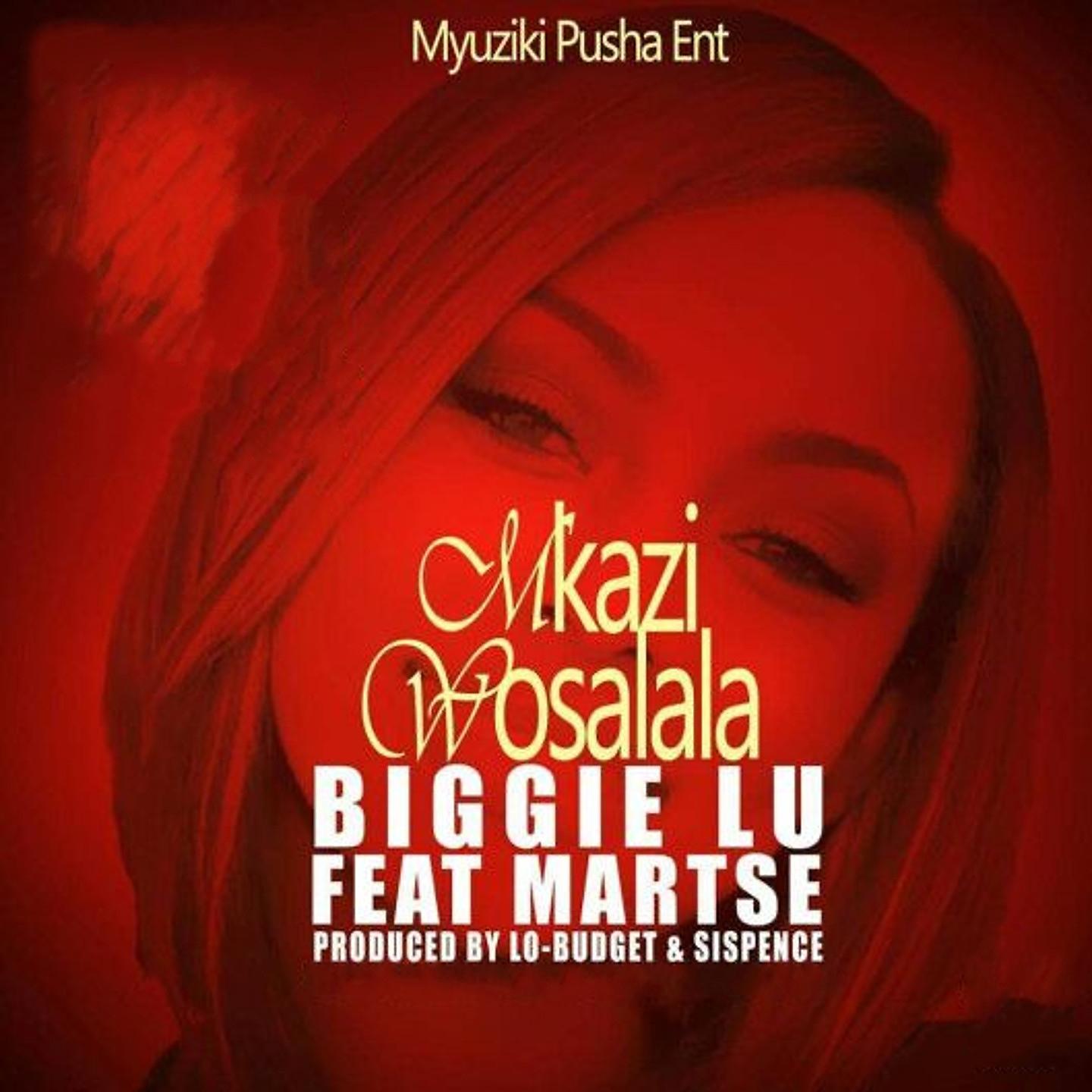 Постер альбома Mkazi Wosalala