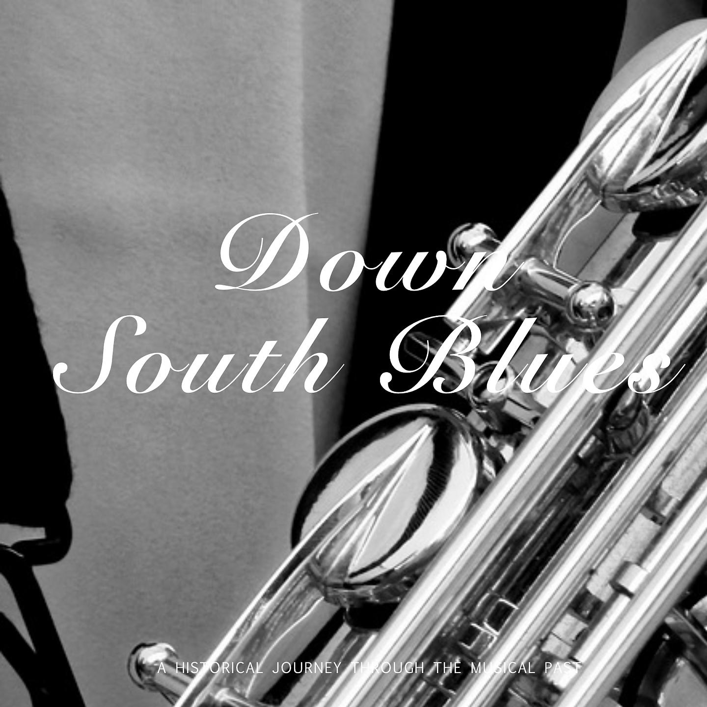 Постер альбома Down South Blues