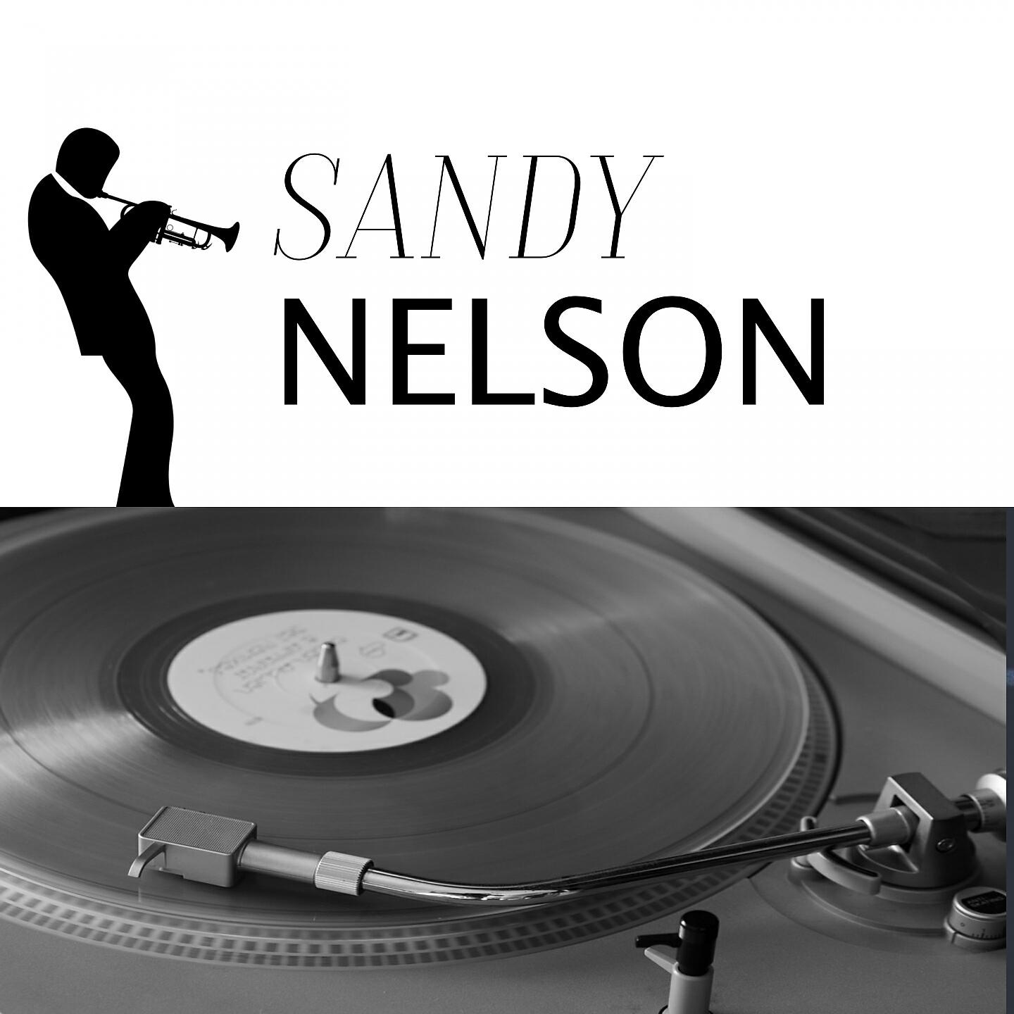 Sandy Nelson - Big Noise From the Jungle