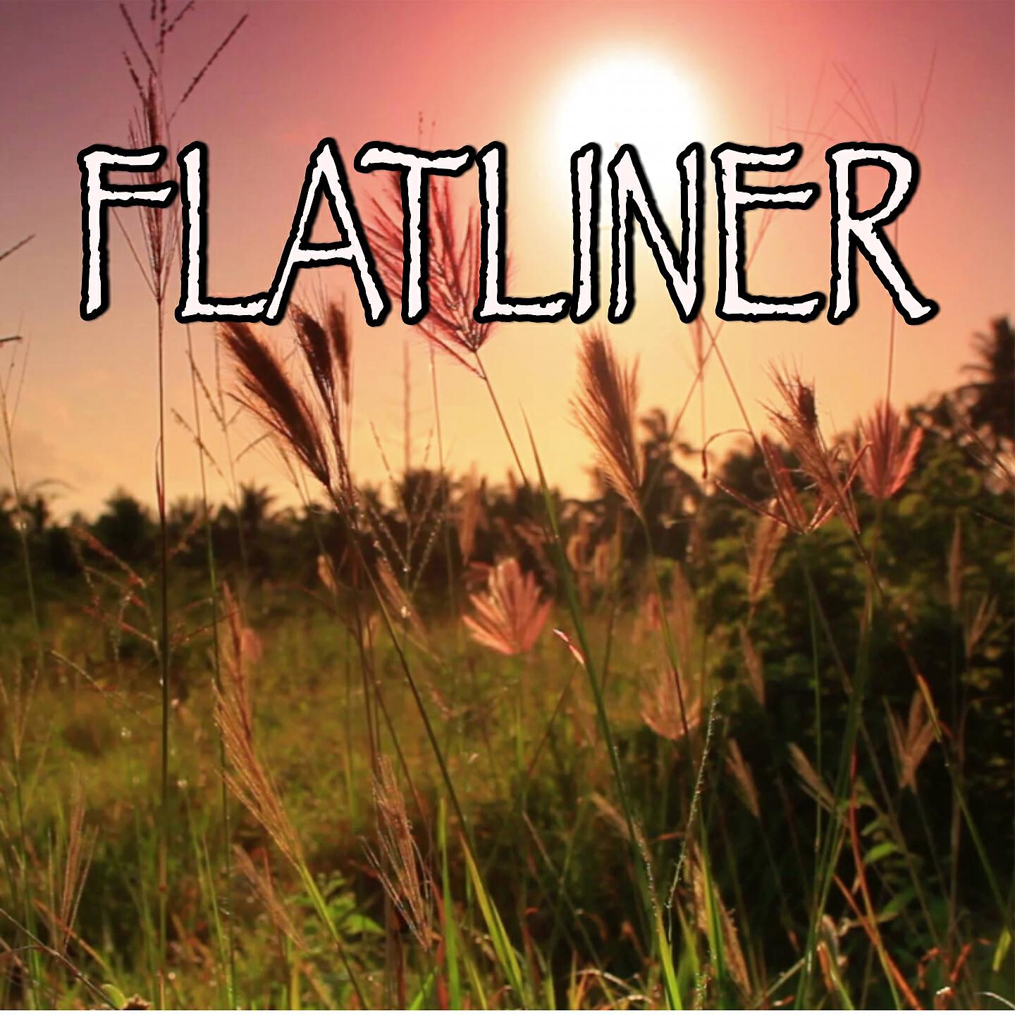 2017 Billboard Masters - Flatliner - Tribute to Cole Swindell