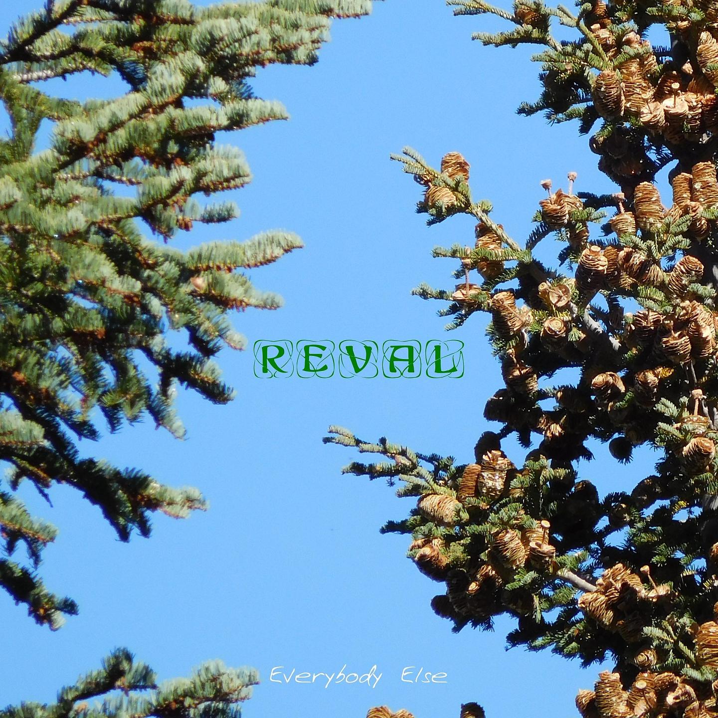 Постер альбома Reval