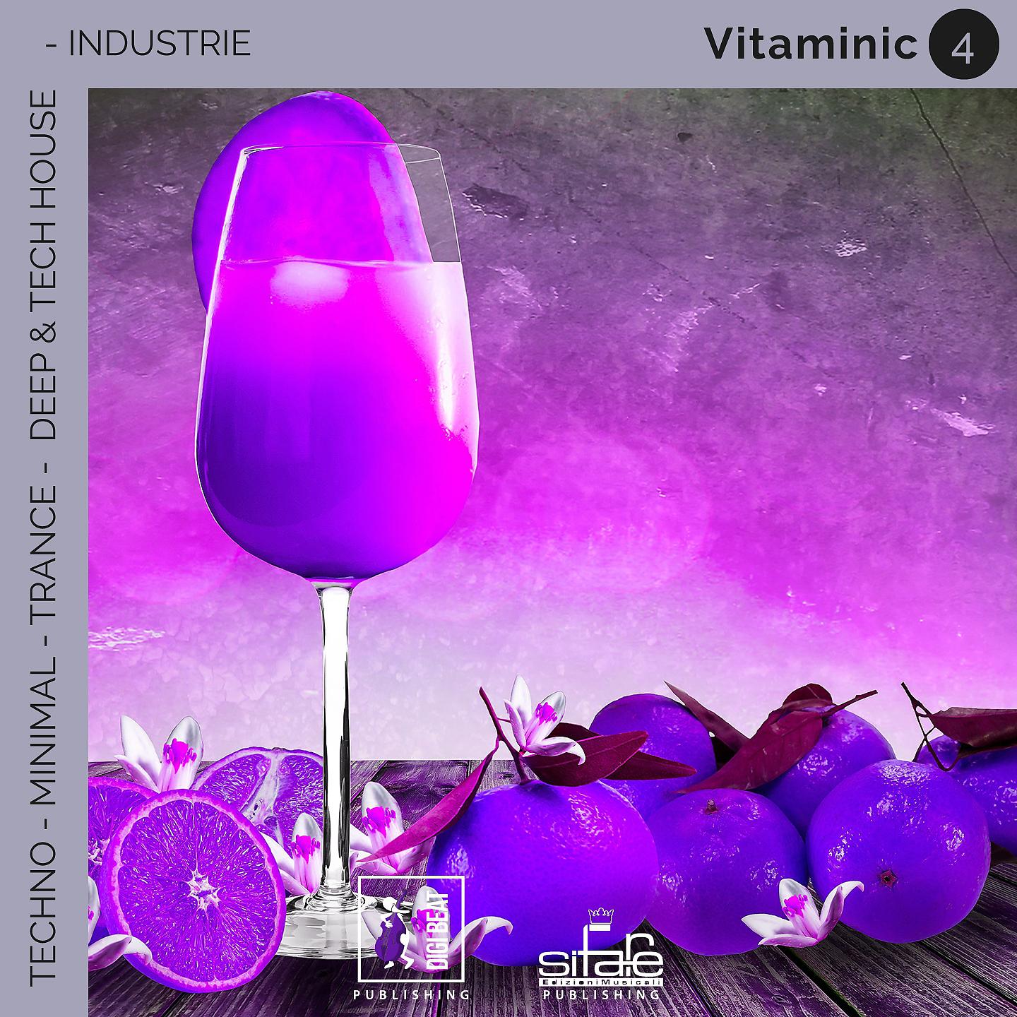 Постер альбома Vitaminic 4