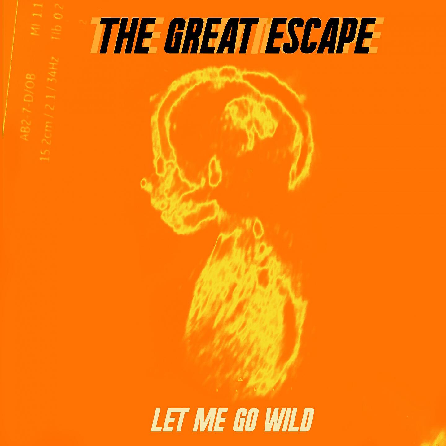 The Great Escape - Let Me Go Wild (Robot Koch Remix)