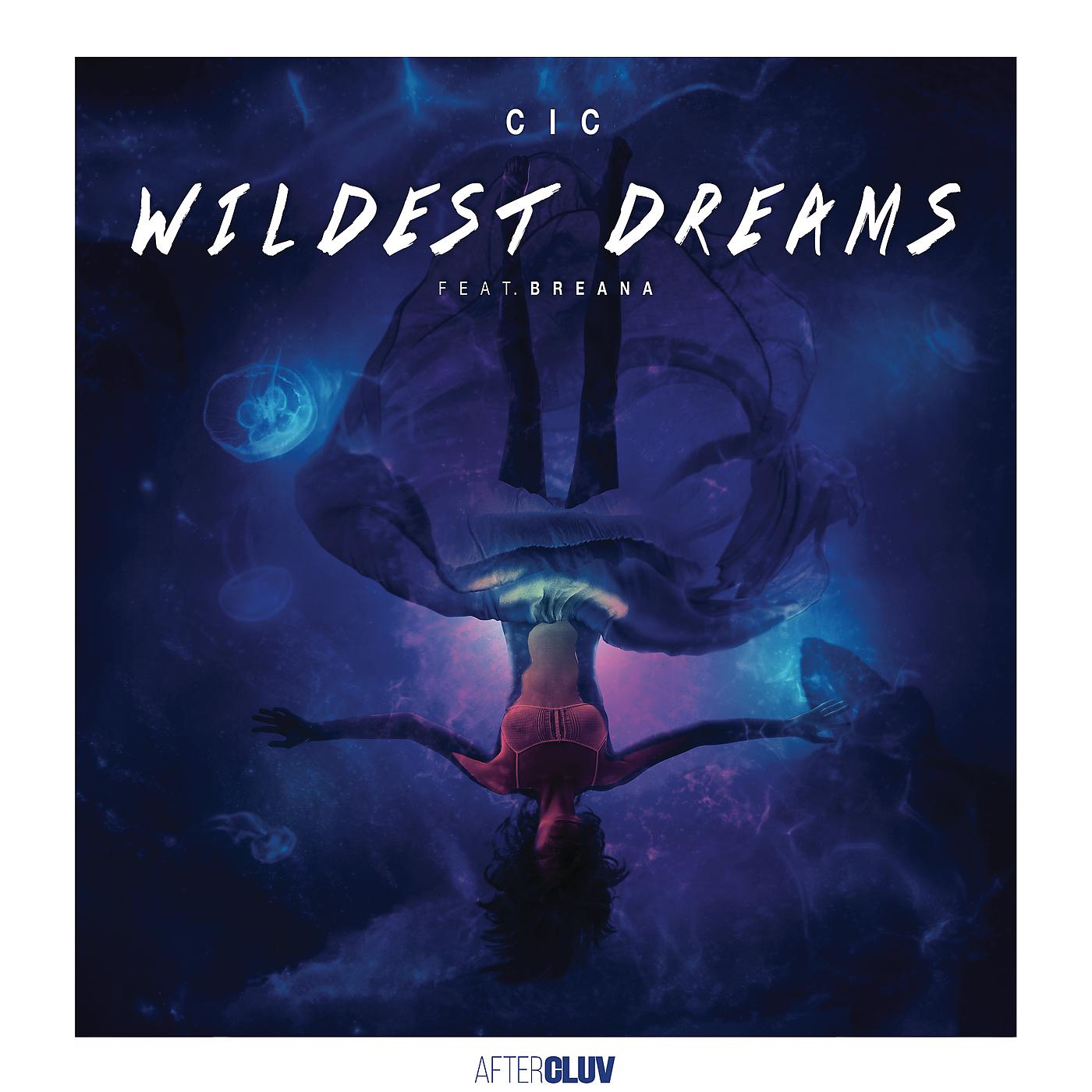 Постер альбома Wildest Dreams