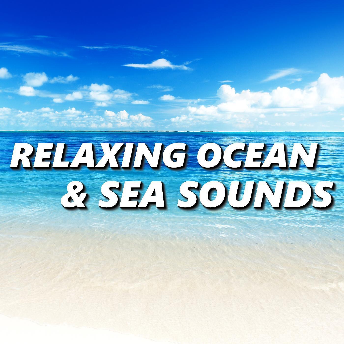 Ocean Sounds - Cozy Bayside Beach Waves
