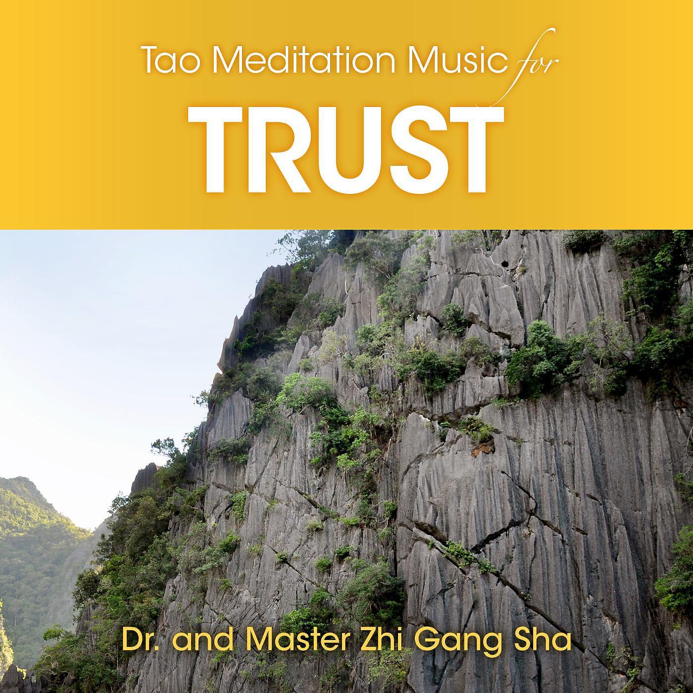 Постер альбома Tao Meditation Music for Trust