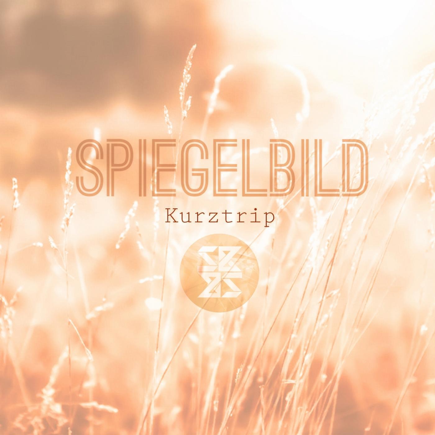 SpiegelBild - Feiern mit den besten (Tobi Scholz Remix)