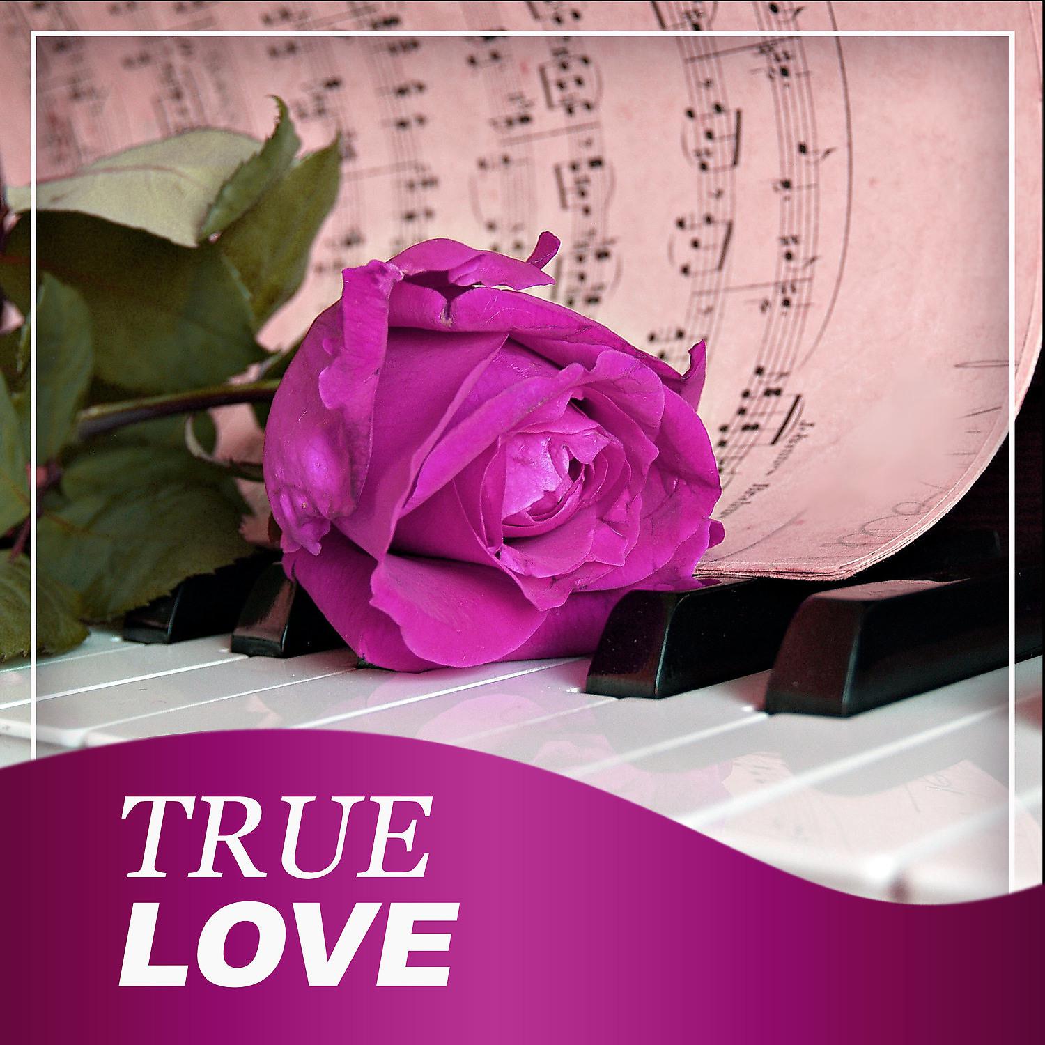 Постер альбома True Love - Instrumental Piano Jazz, First Love, Jazz for Lovers, Big Love