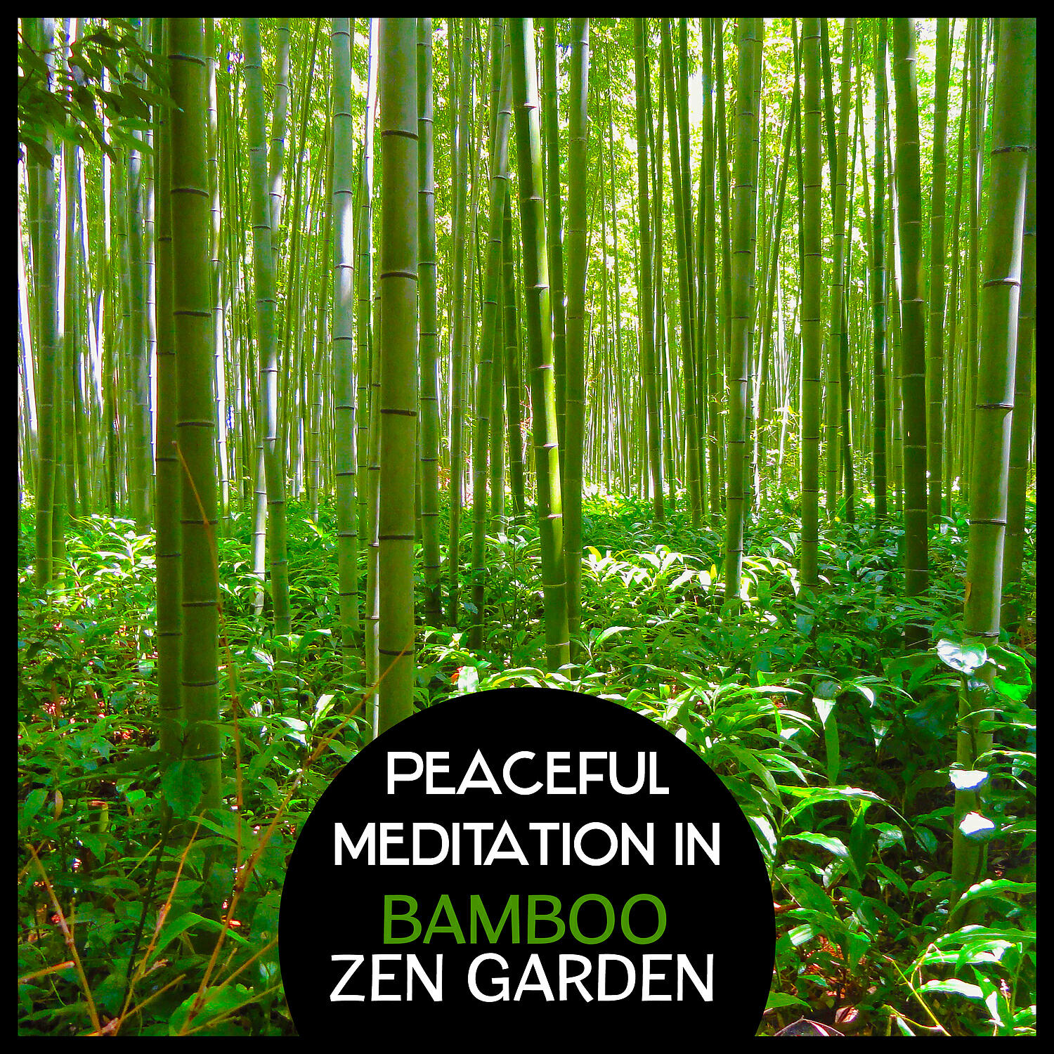 Asian Flute Music Oasis - Tranquil Meditation – Soothing Music for Stress Relief